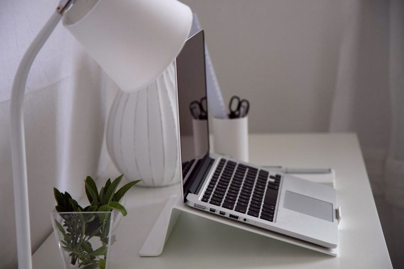 single trailing pothos plant on a desk corner