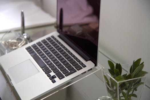 A sleek laptop on a glass desk with a plant, showcasing a modern workspace setup.