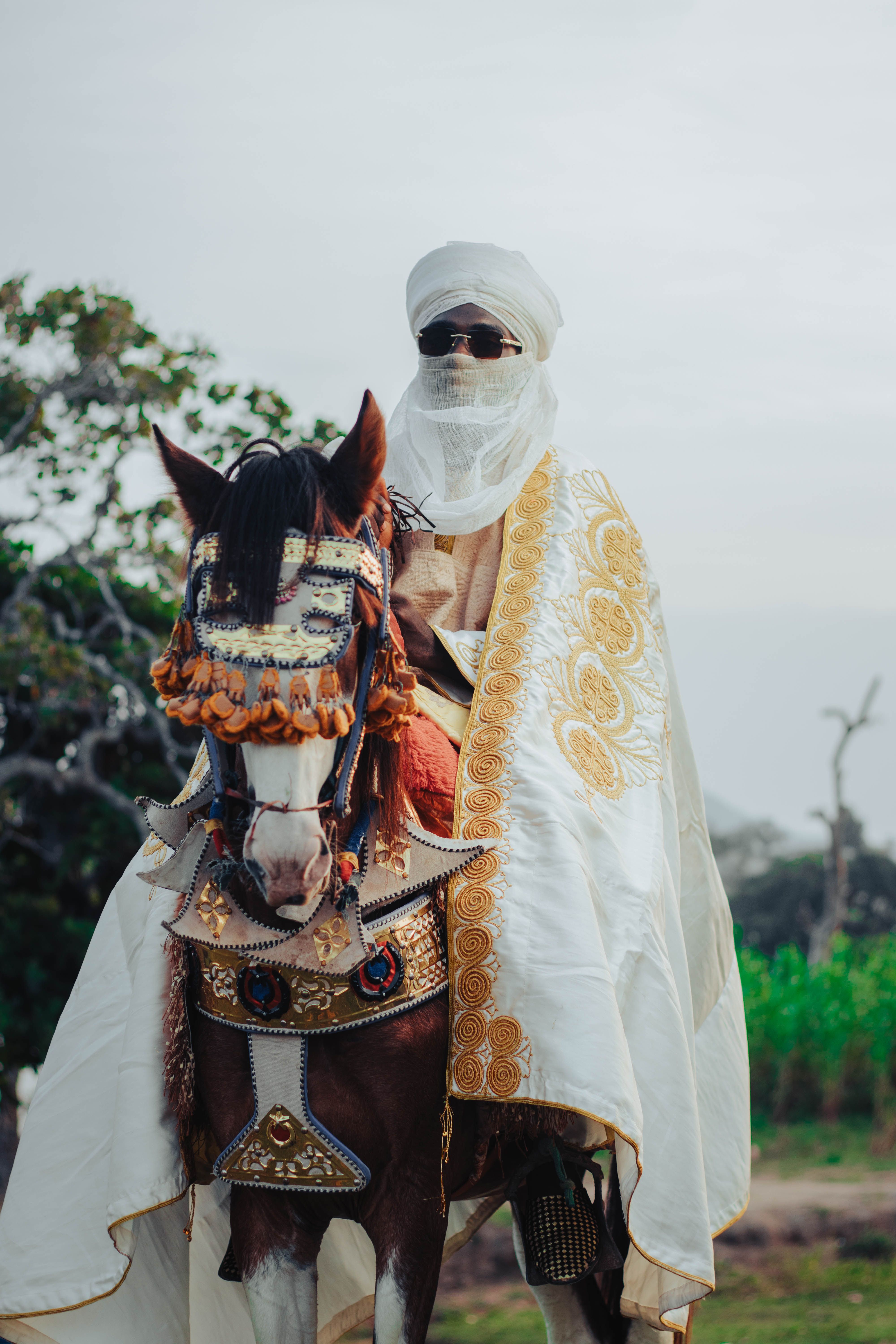 Man in traditional attire on a decorated horse, showcasing cultural heritage.