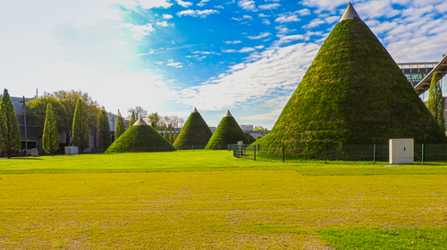 Free stock photo of germany, green, hannover Stock Photo