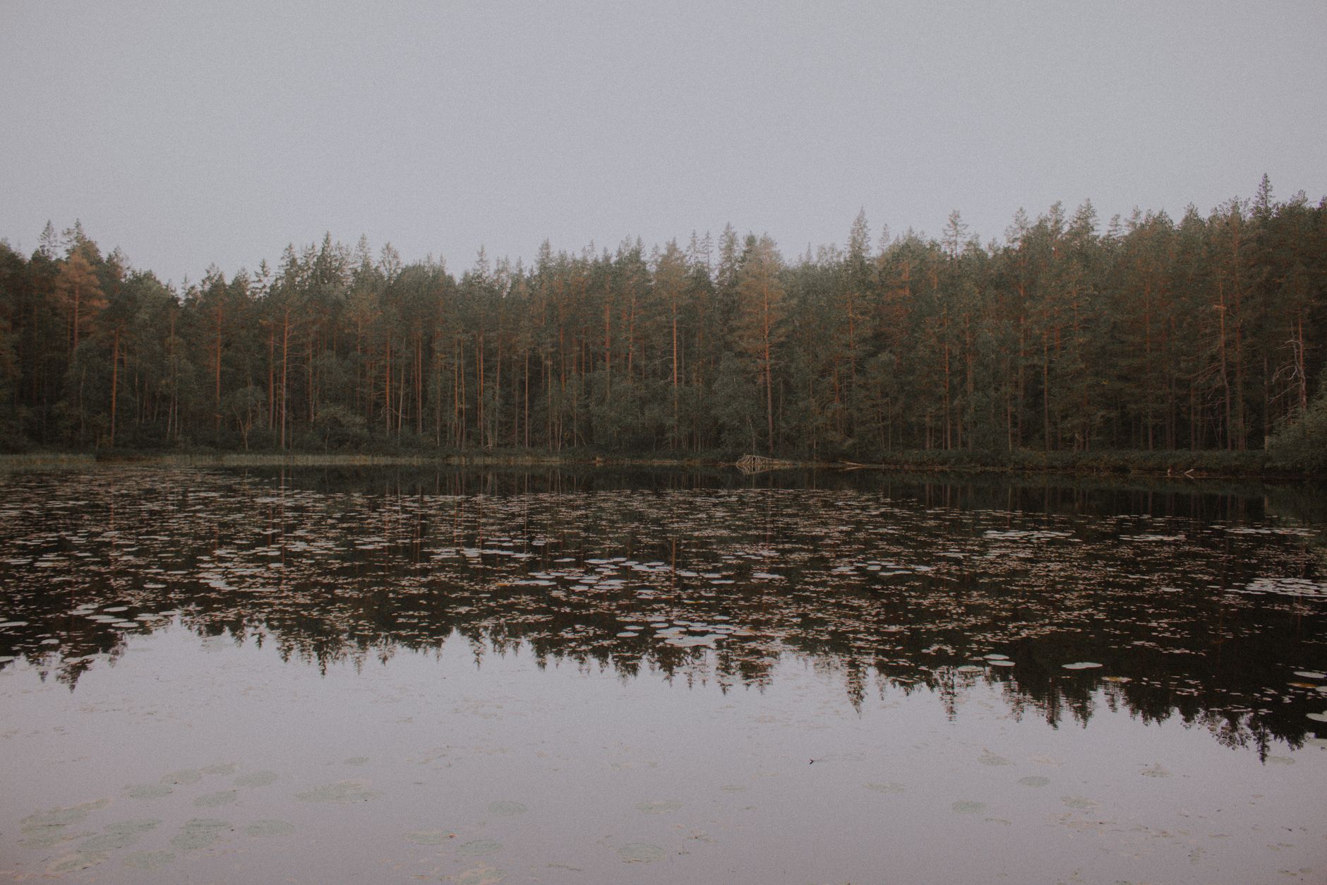 Serene view of a forest lake in Sweden during autumn, reflecting calm and beauty.