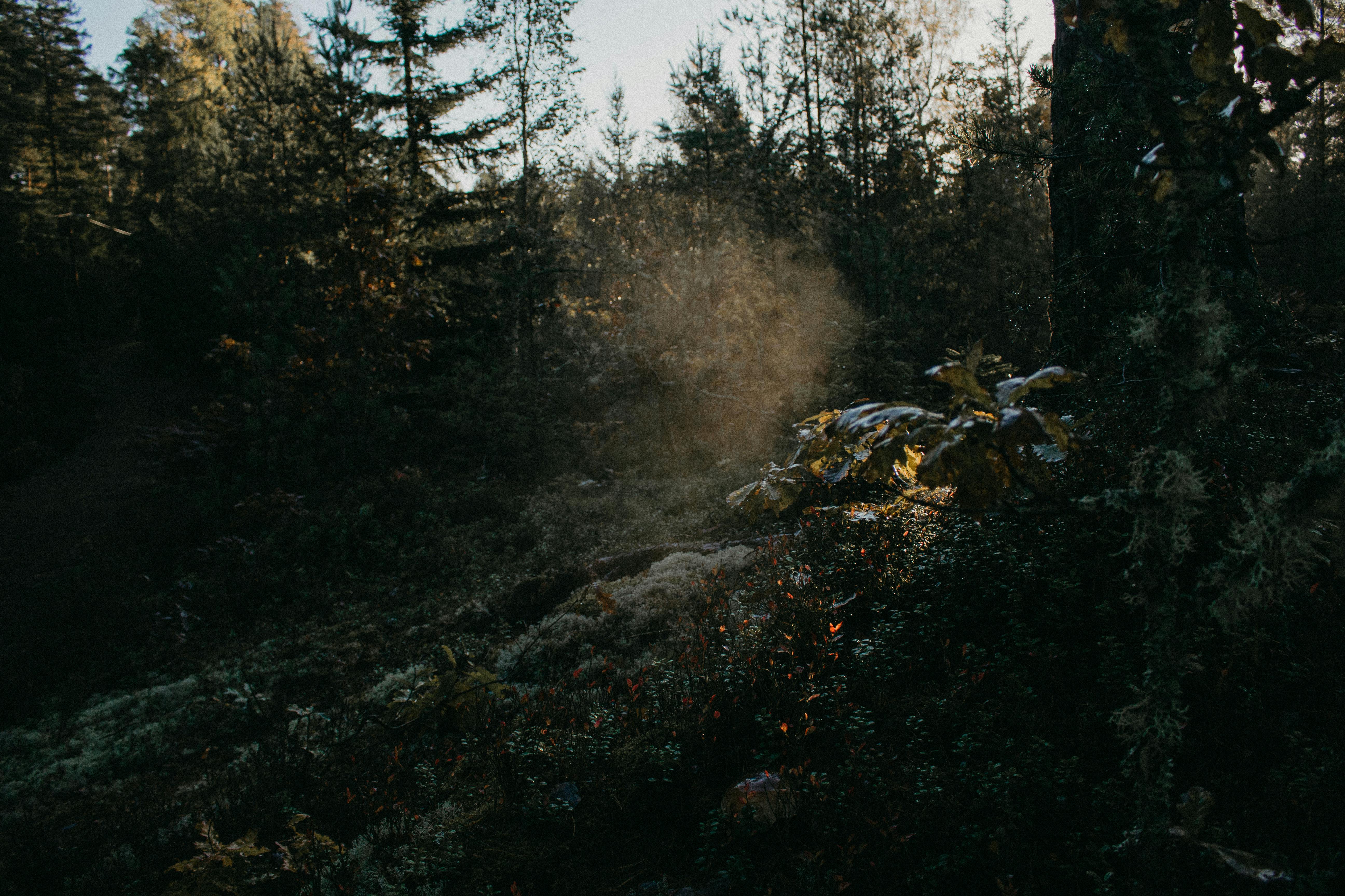 專訪周美君：用音樂陪伴生活，用呼吸找回自我