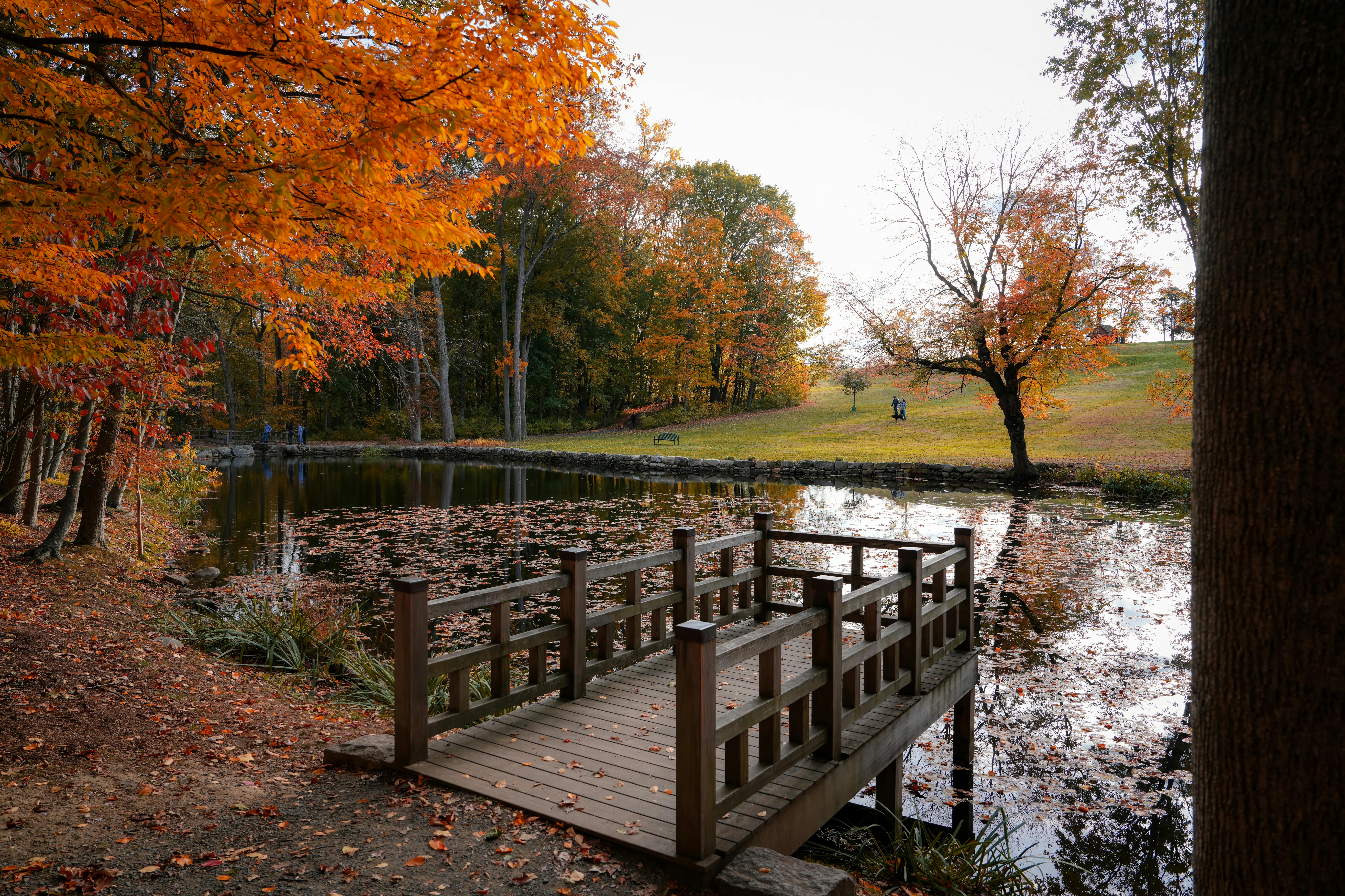 Exploring Ecuador's Yalupa Reserve: A Hidden Natural Gem