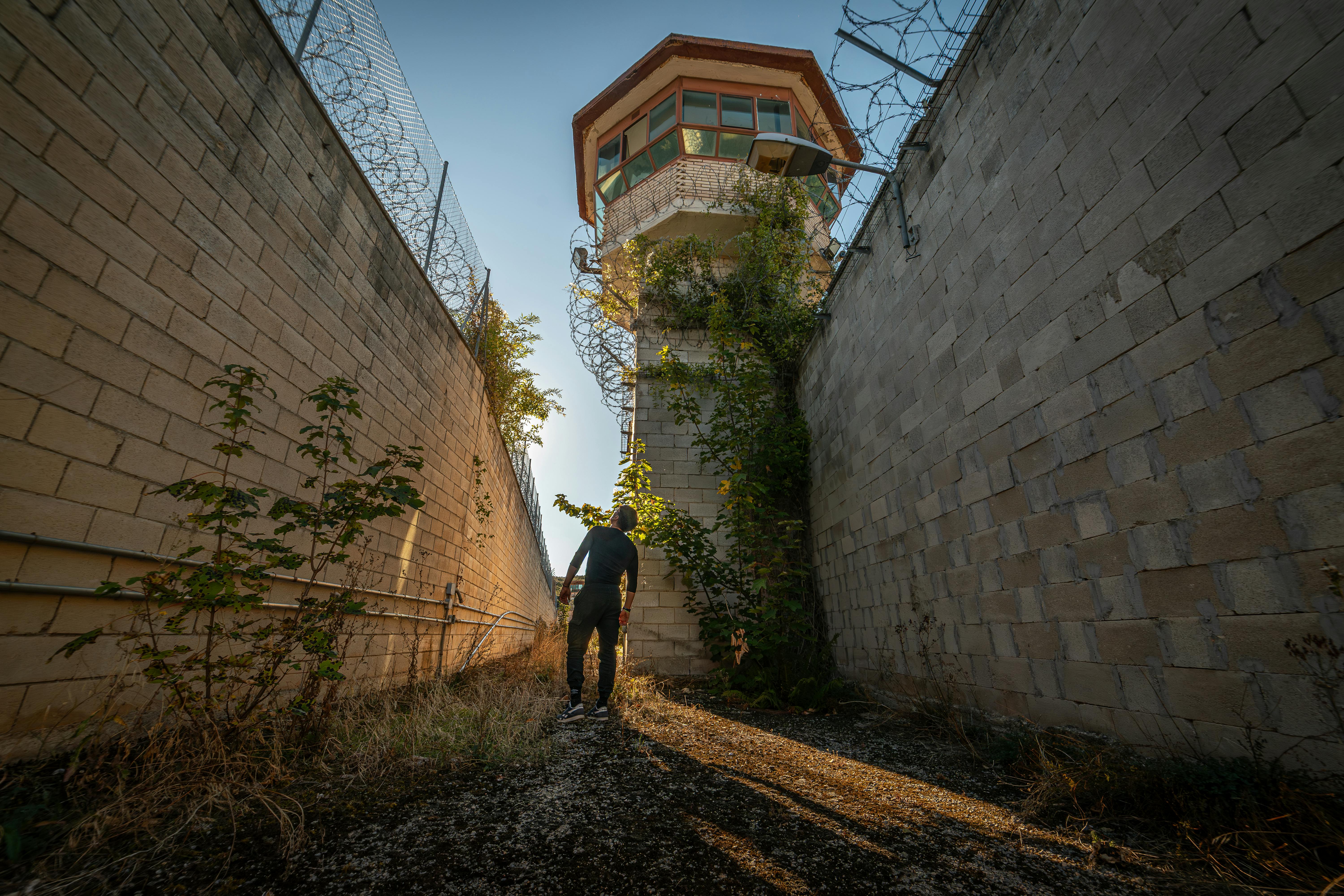 A lone man explores overgrown prison courtyard under bright light.