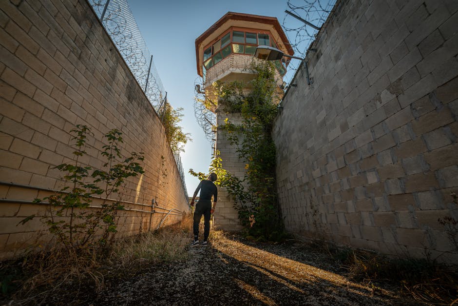 A lone man explores overgrown prison courtyard under bright light.