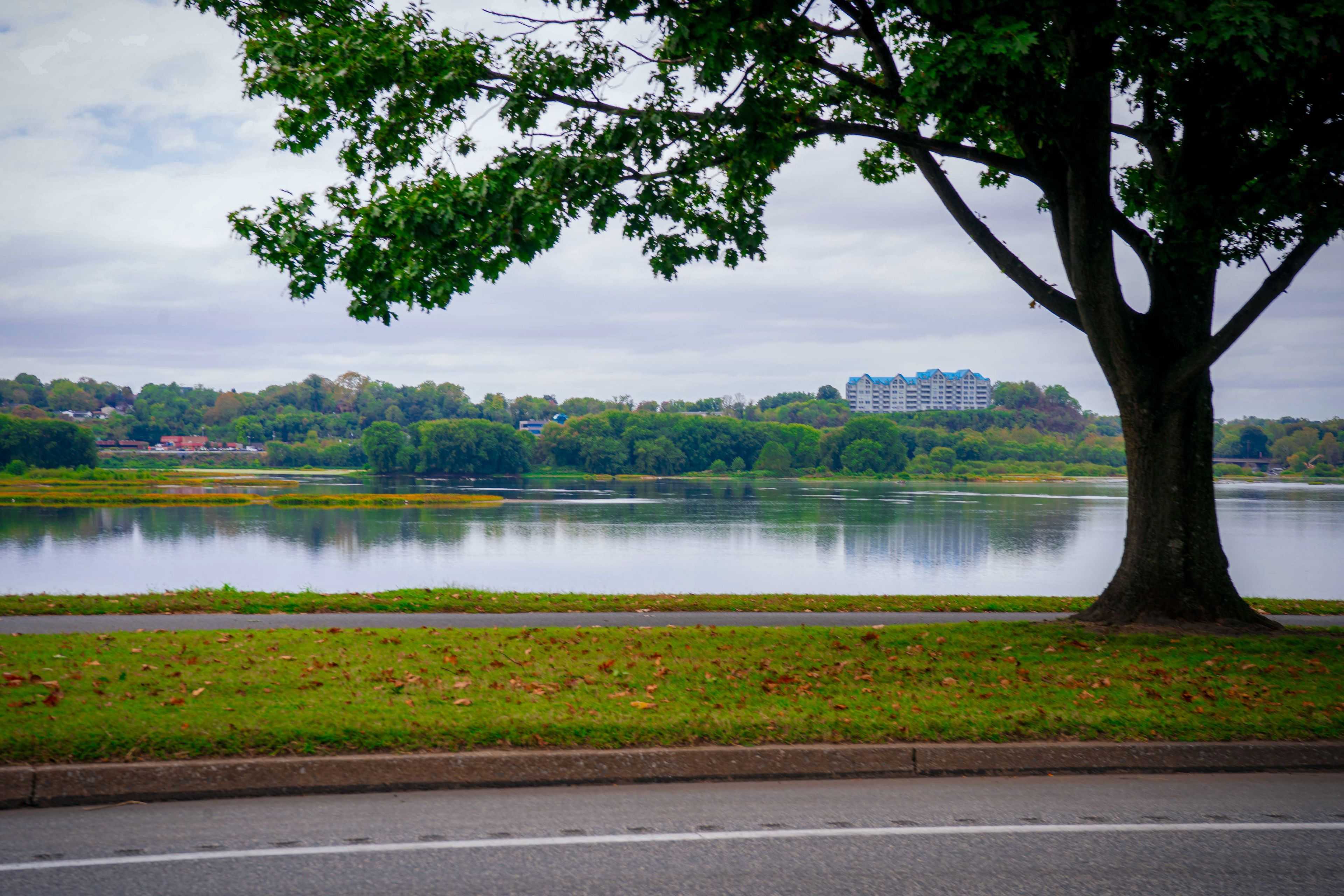 Harrisburg: The Susquehanna River framed by trees in Harrisburg