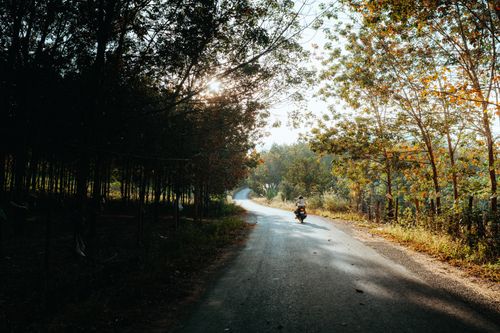Free A solitary rider travels down a sun-drenched, winding road in Kon Tum. Autumn leaves frame the serene journey. Stock Photo
