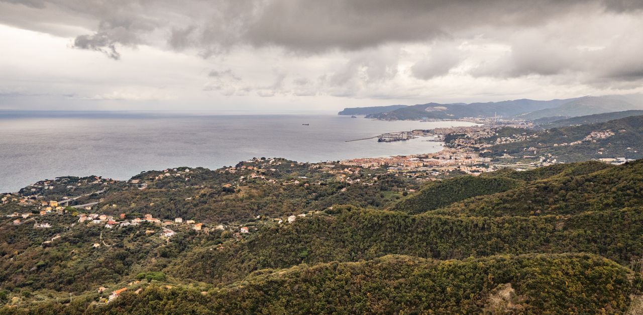 Savona