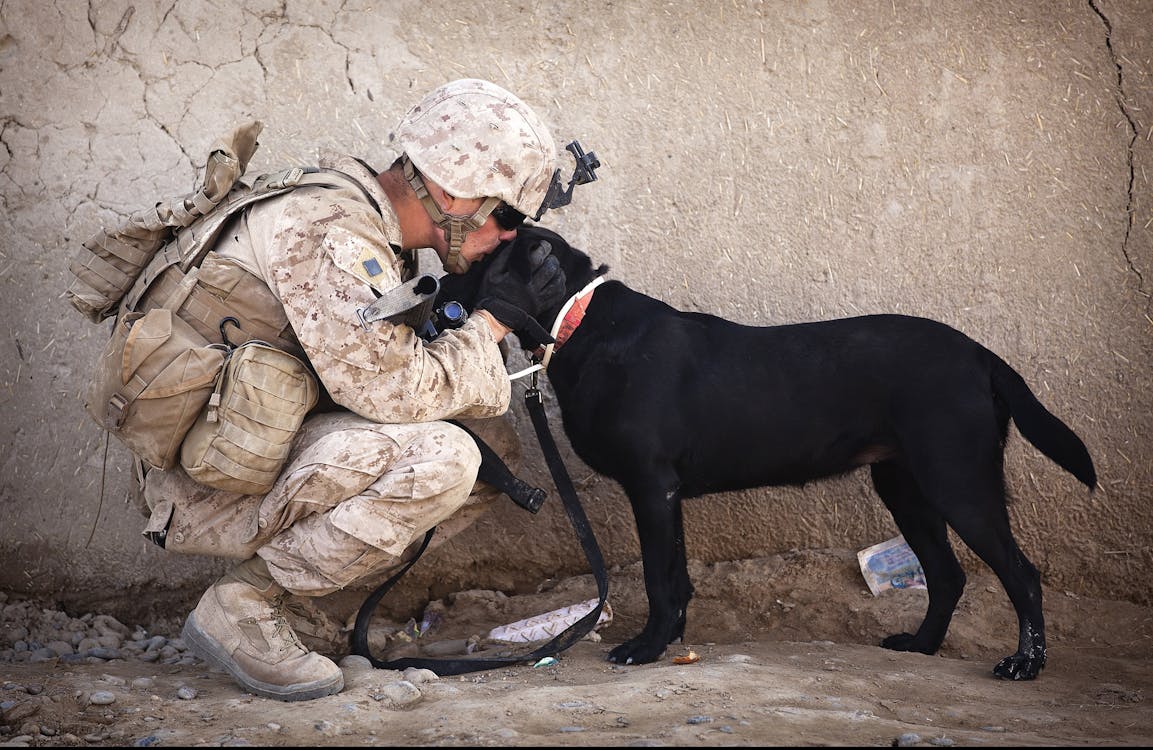 Free Soldier and Black Dog Cuddling Stock Photo
