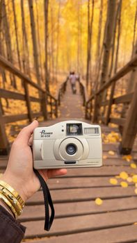 A view of autumn leaves in Türkiye forest with vintage camera in hand.