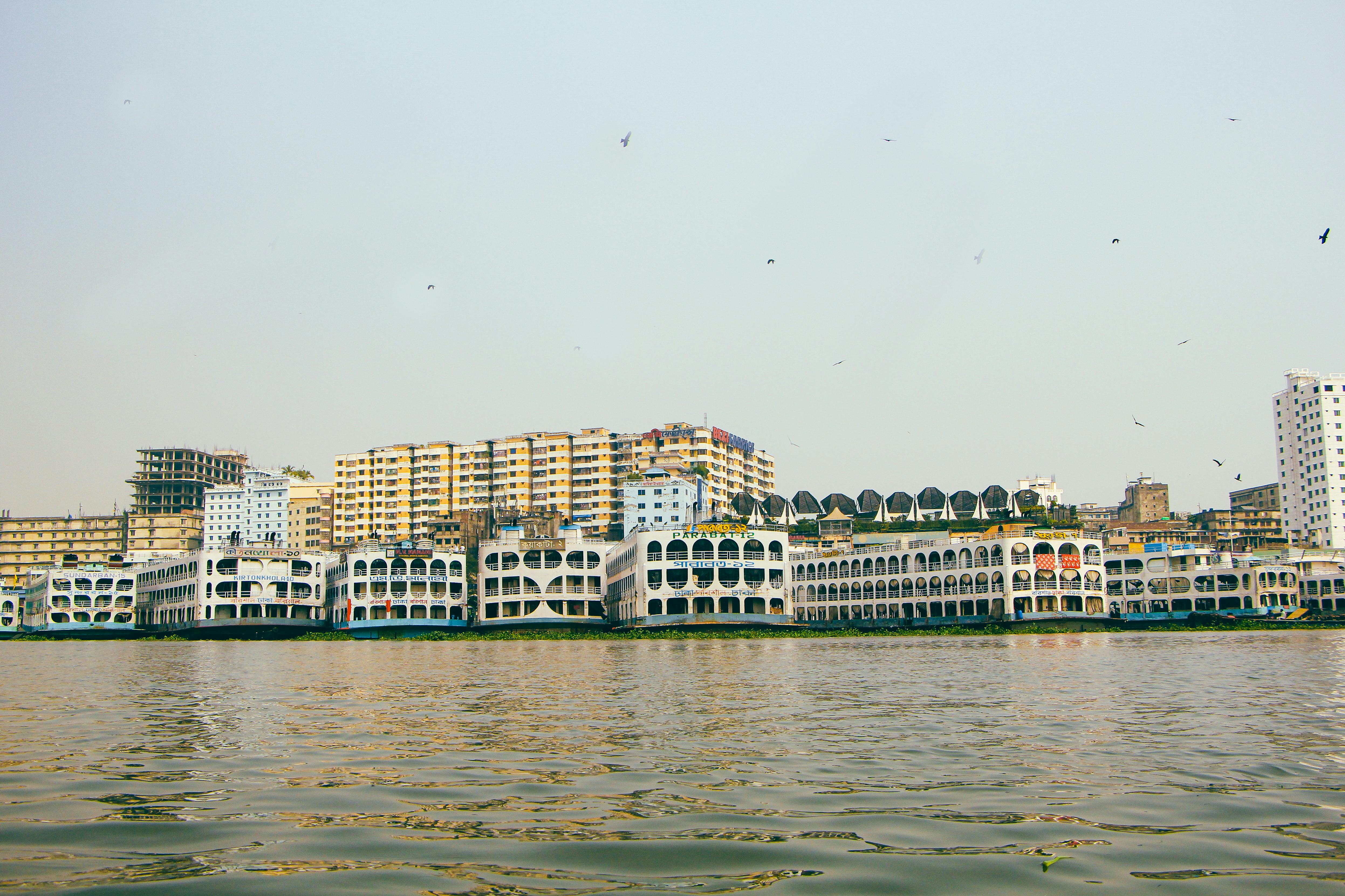 XRP Sukses Lampaui Super Guppy Bitcoin, Apa Target Selanjutnya