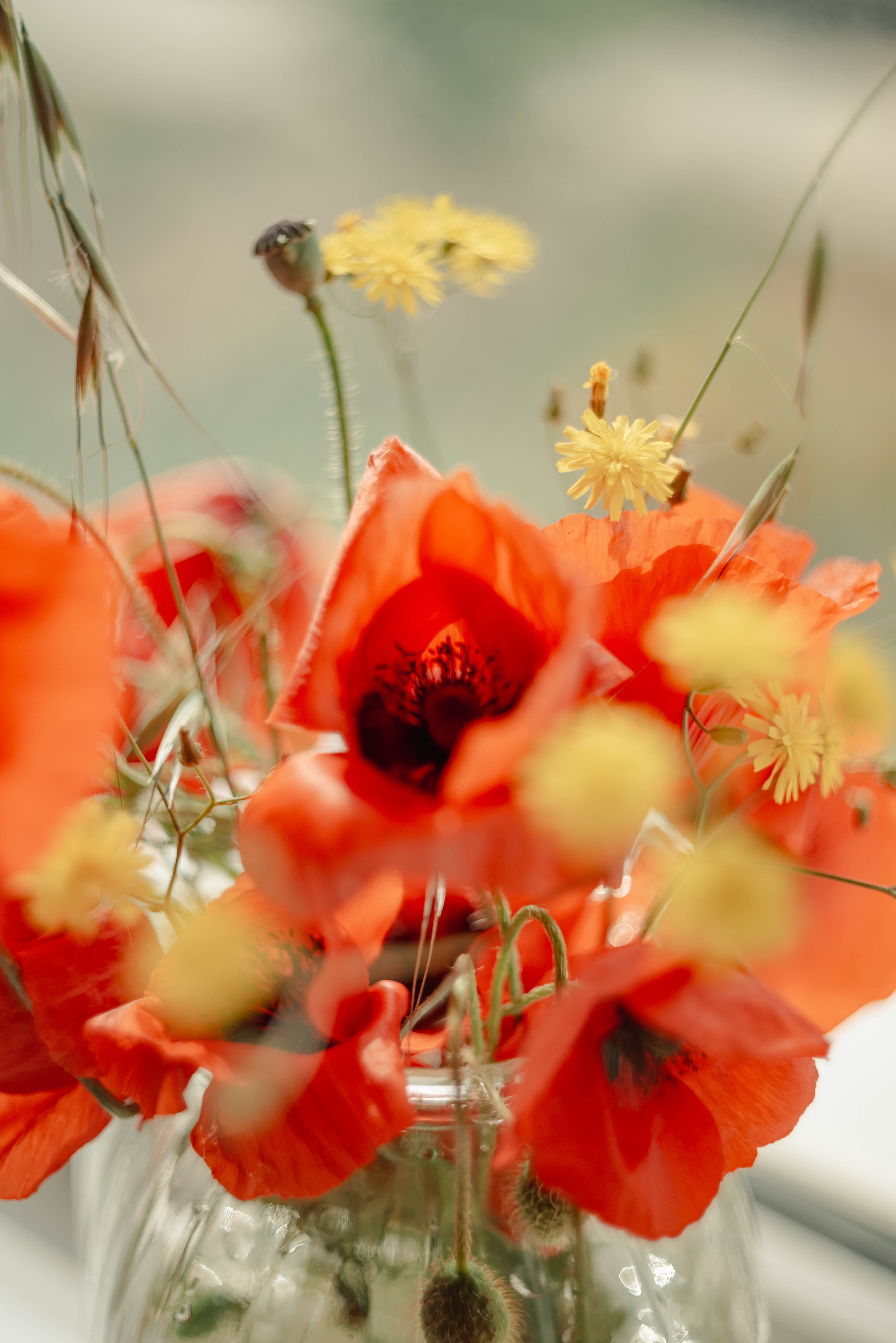 Red poppies and yellow wildflowers in a glass vase — photo by Olga Solo, Pexels