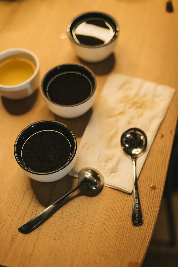 咖啡杯測動作