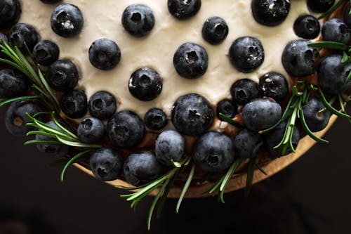 Free Blueberry Cake Stock Photo