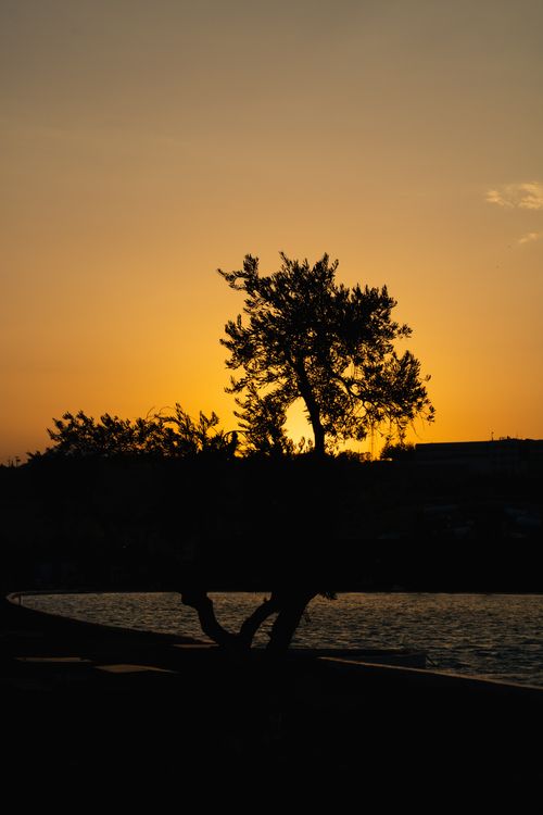 Free Sunset at the Artificial Lake Stock Photo