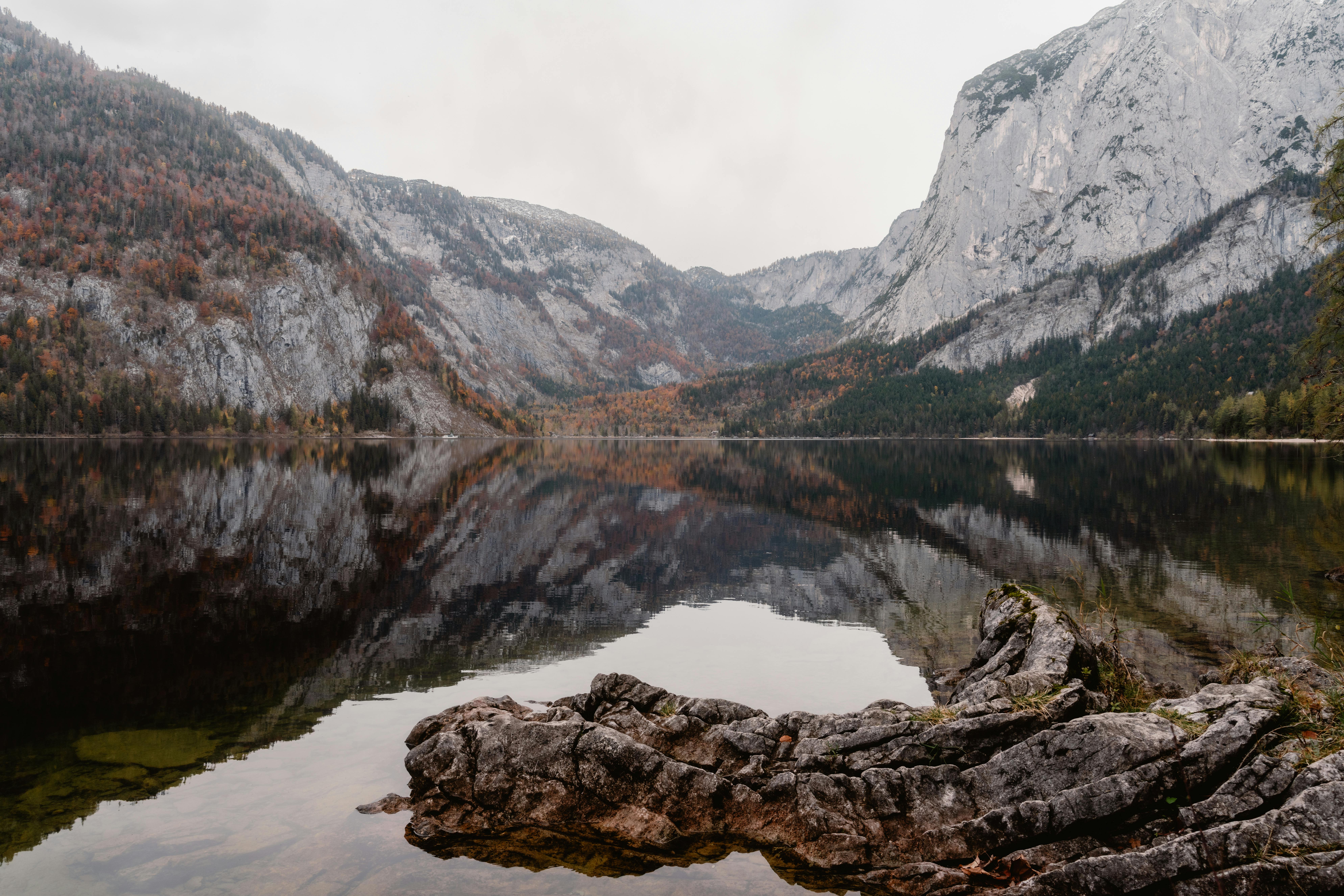 照妖鏡透視：揭露民進黨光復災情背後的政治脈絡