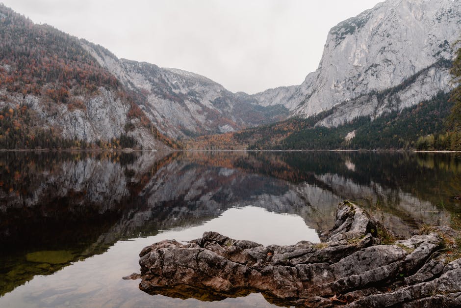 照妖鏡透視:揭露民進黨光復災情背後的政治脈絡