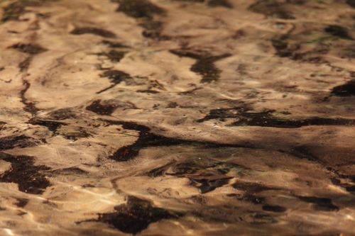 Free Tranquil ripples on the surface of Central Lake, Michigan. Captures the serene beauty of natural water textures. Stock Photo