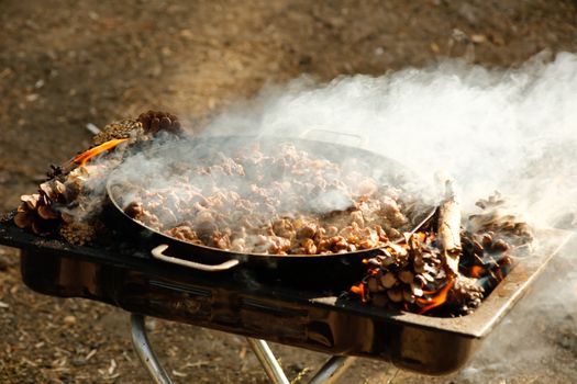Delicious outdoor meal being cooked with a smoky skillet over an open fire, surrounded by pine cones.