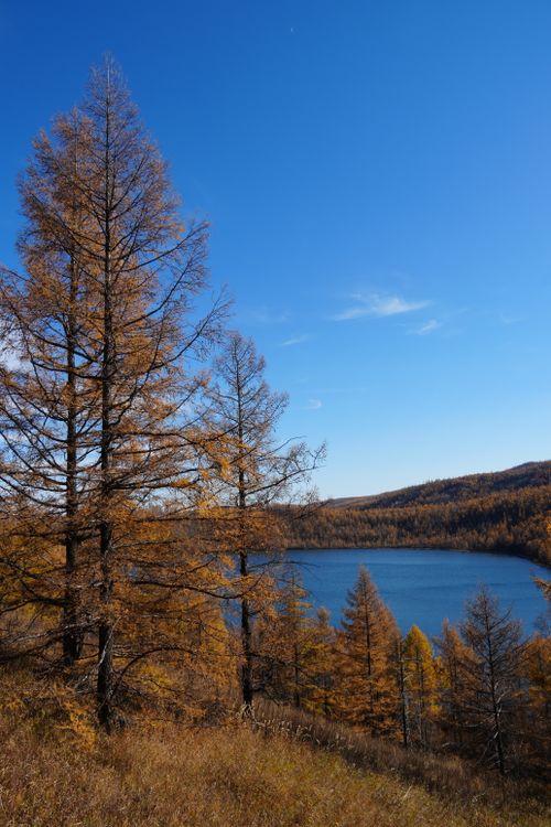 Golden Tree Rocks Lake Golden Autumn Forest Surrounding a Crystal Blue Lake · Free Stock Photo