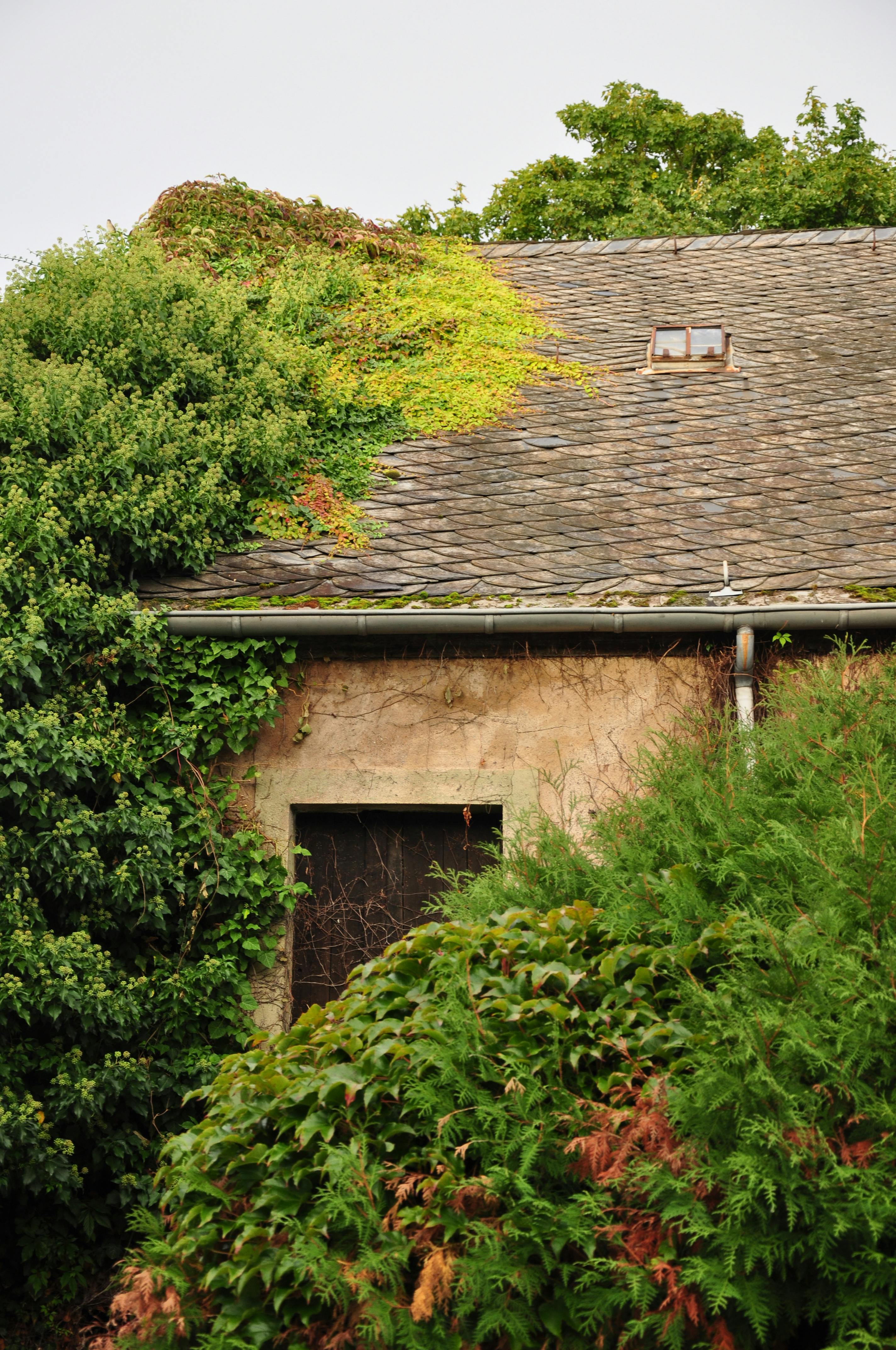 대상포진 예방접종 가격 알아보기