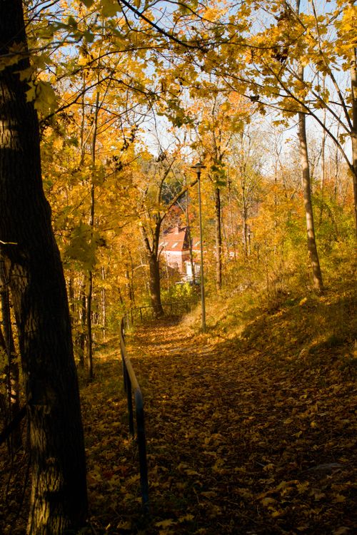 Free Picturesque autumn pathway in Söderhamn, Sweden with vibrant fall foliage. Stock Photo