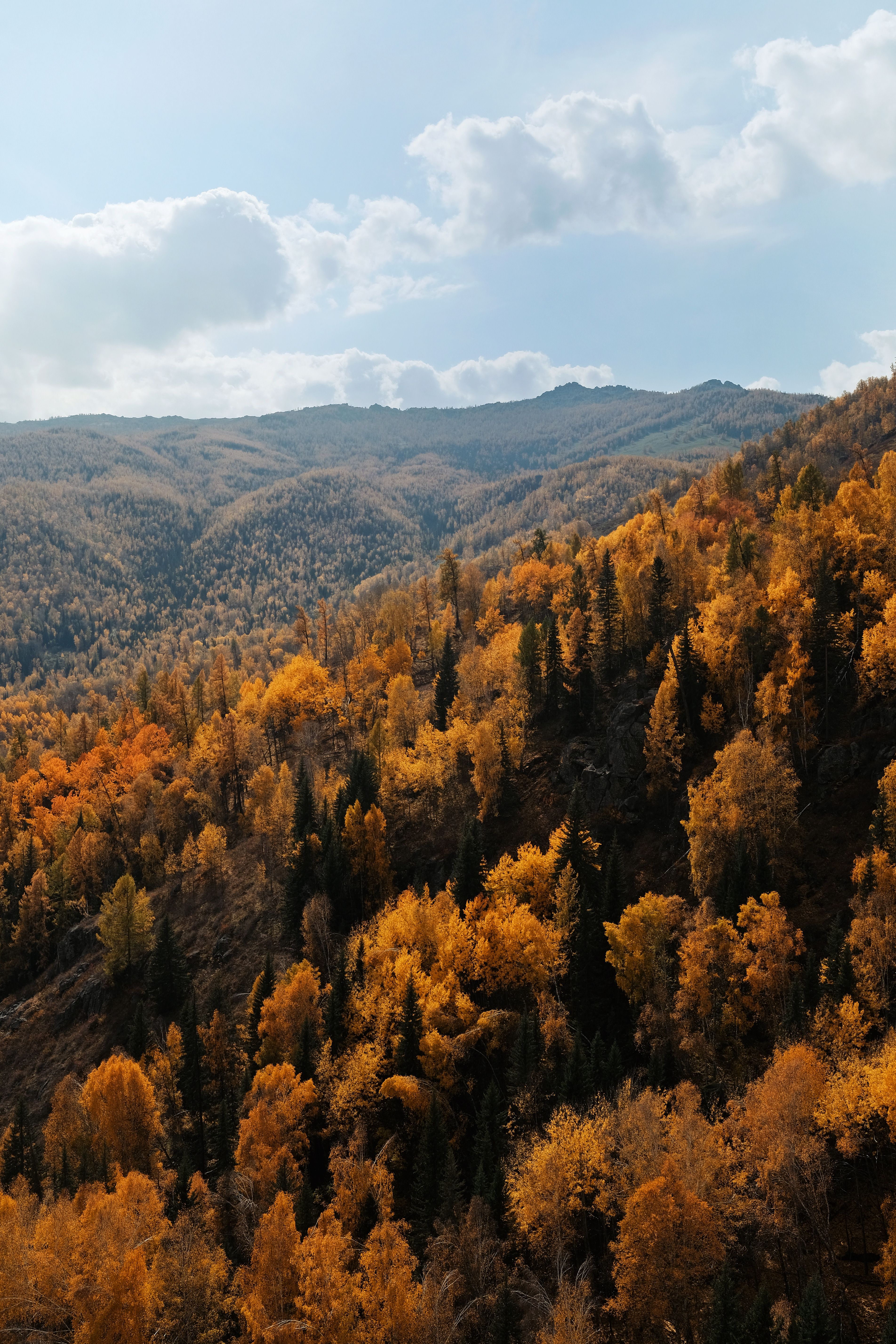 Scenic Autumn Landscape with Vibrant Foliage · Free Stock Photo