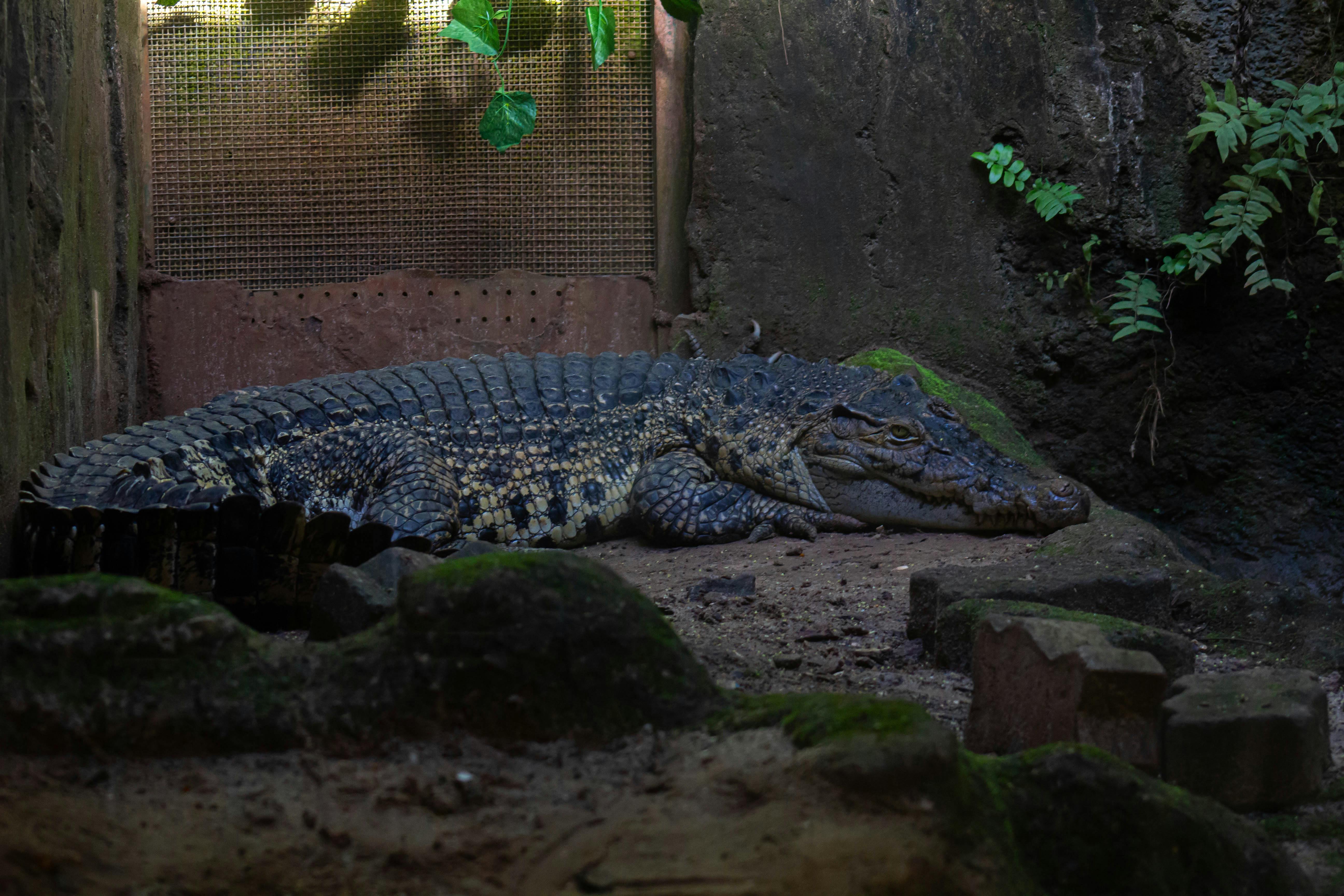 財經：月薪5萬難買北市房！自備款得存20年 網友：不如全貸買特斯
