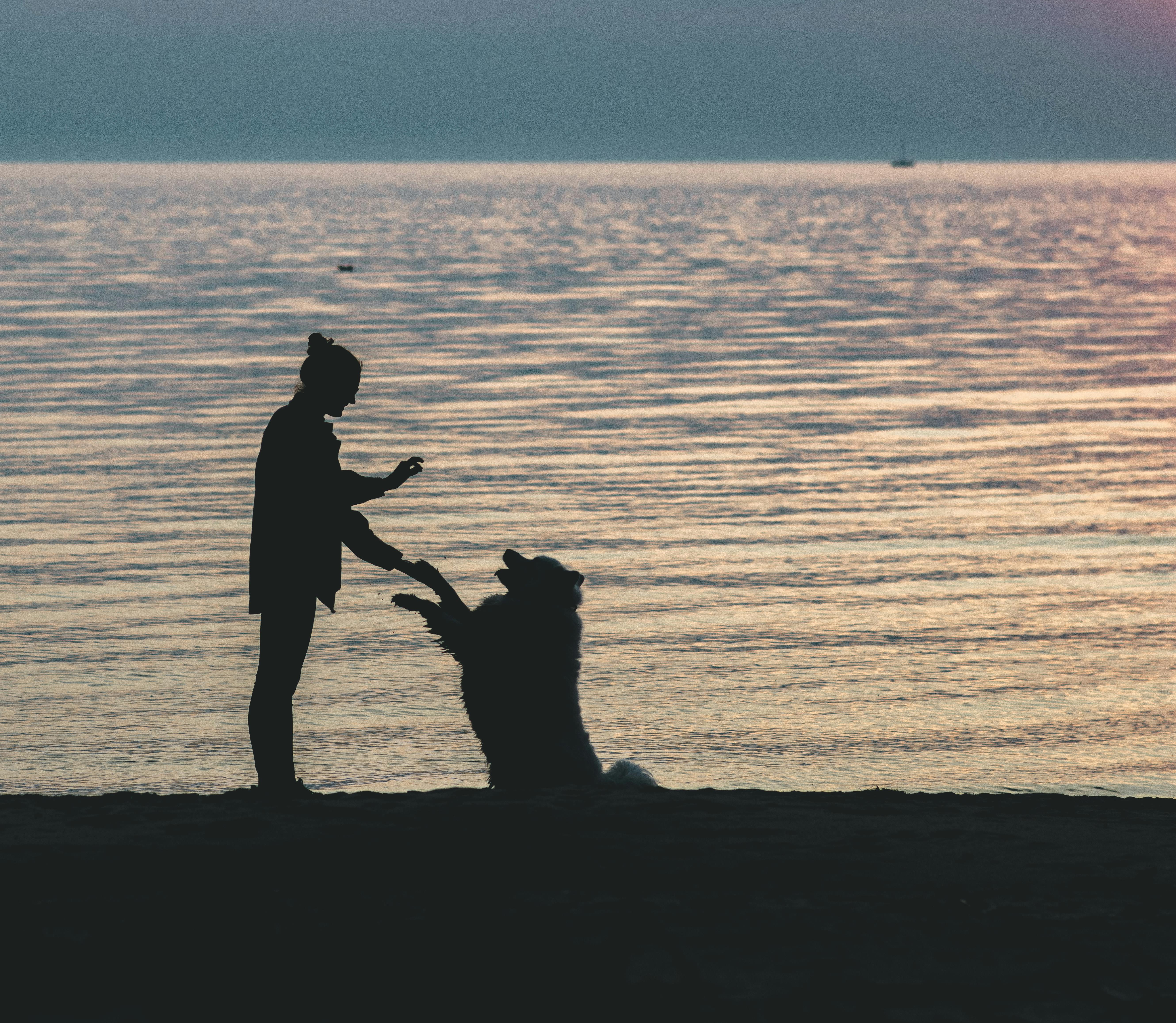 Unlock Your True Brain Potential with Effective Mental Exercises