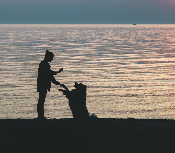 Sérénité — Communication animale à Cepoy