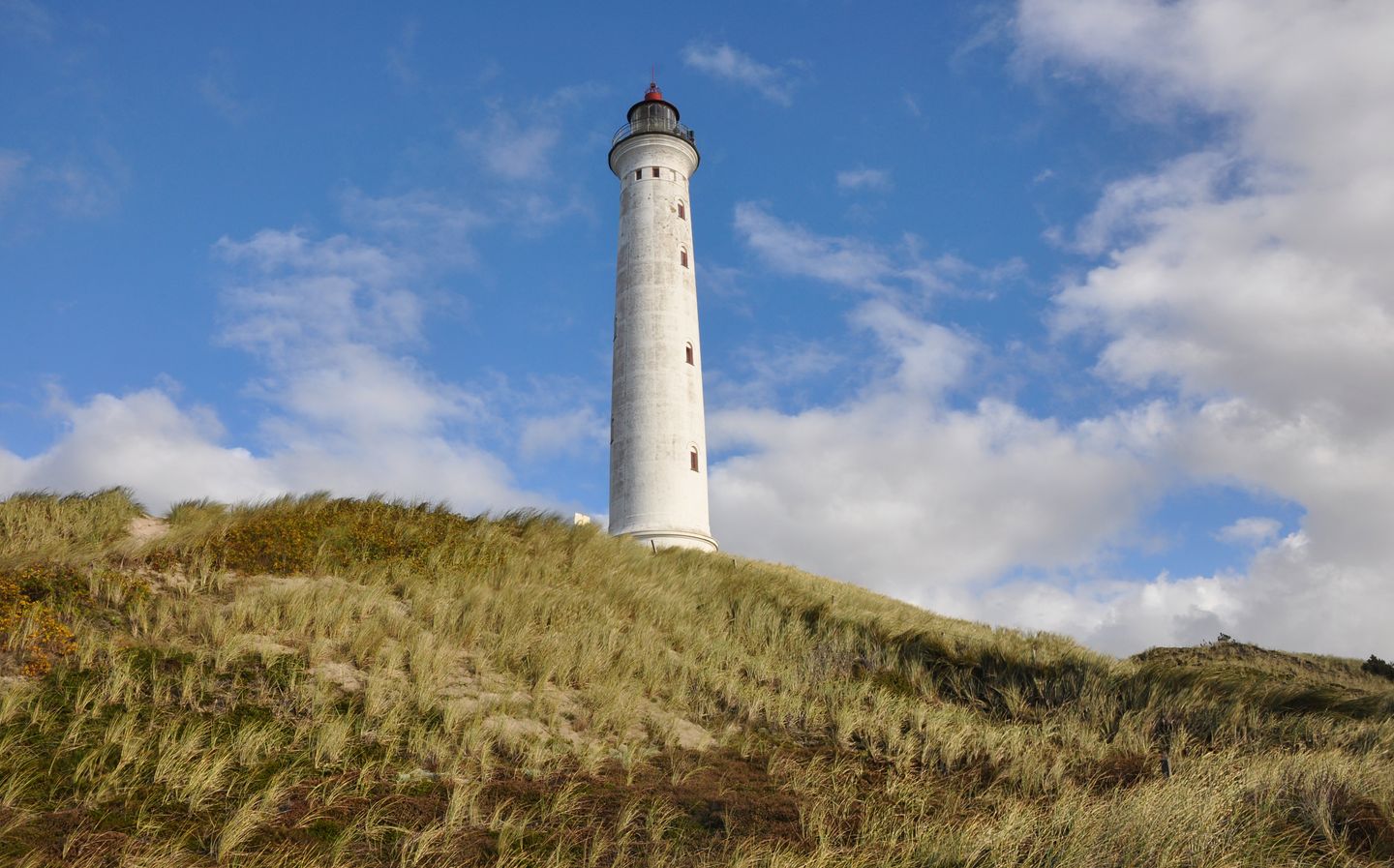 Schilderachtig zicht op een witte vuurtoren op een grazige heuvel onder een strakblauwe lucht in Denemarken