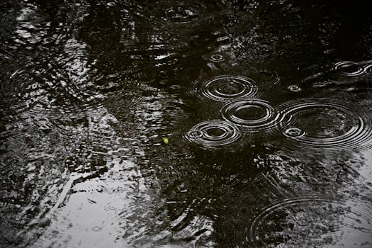 Close-up view of raindrops creating ripple patterns on a dark pond surface in Lisse, Netherlands.