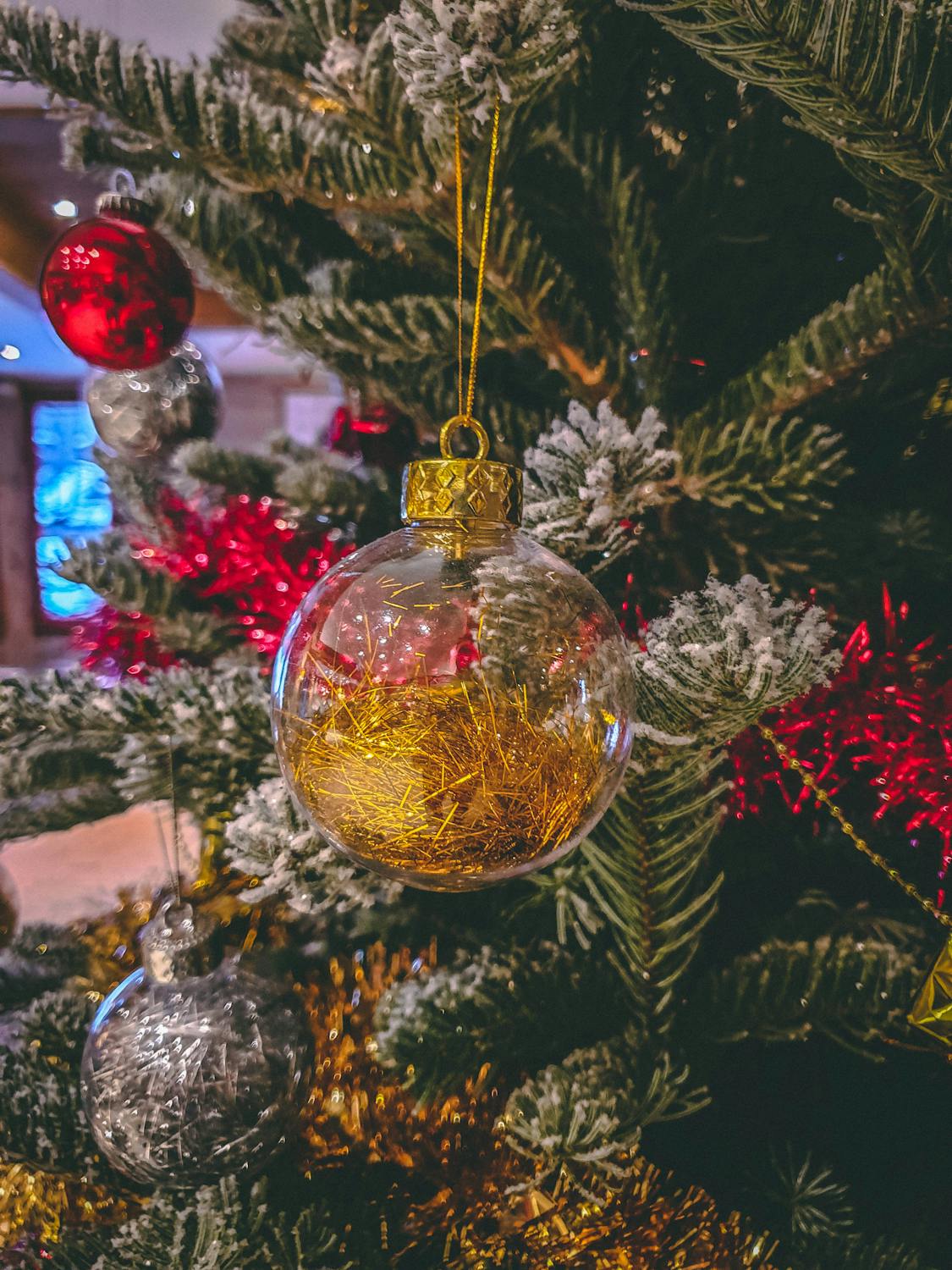 Free stock photo of ball, christmas, christmas tree