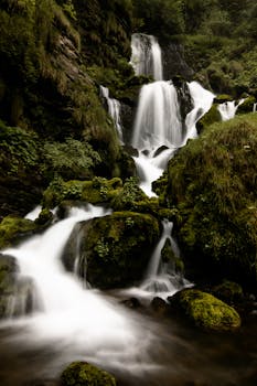 A tranquil waterfall cascades over mossy rocks in a lush forest setting, exuding serenity.