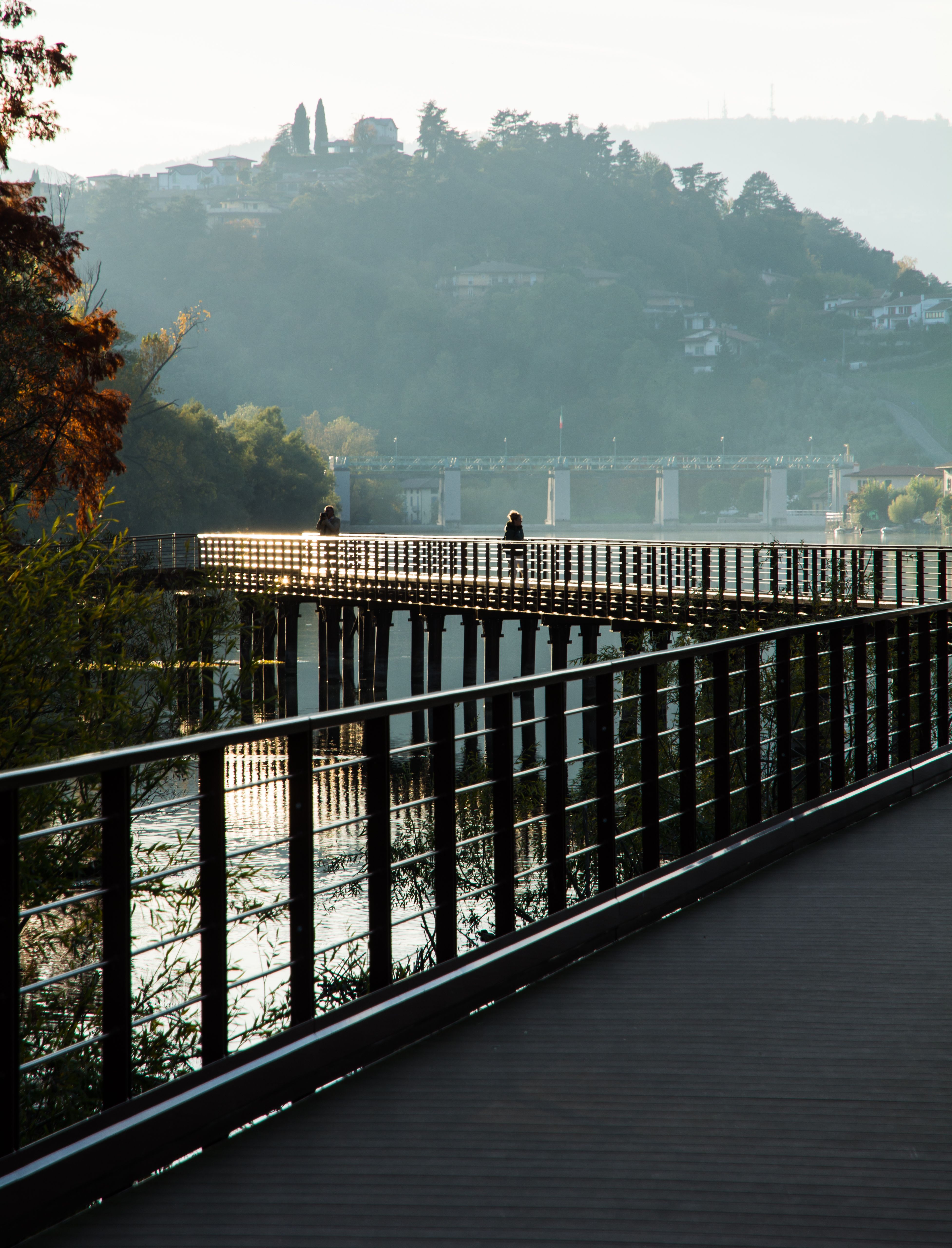 Serene Morning Walk on Scenic Riverside Boardwalk · Free Stock Photo