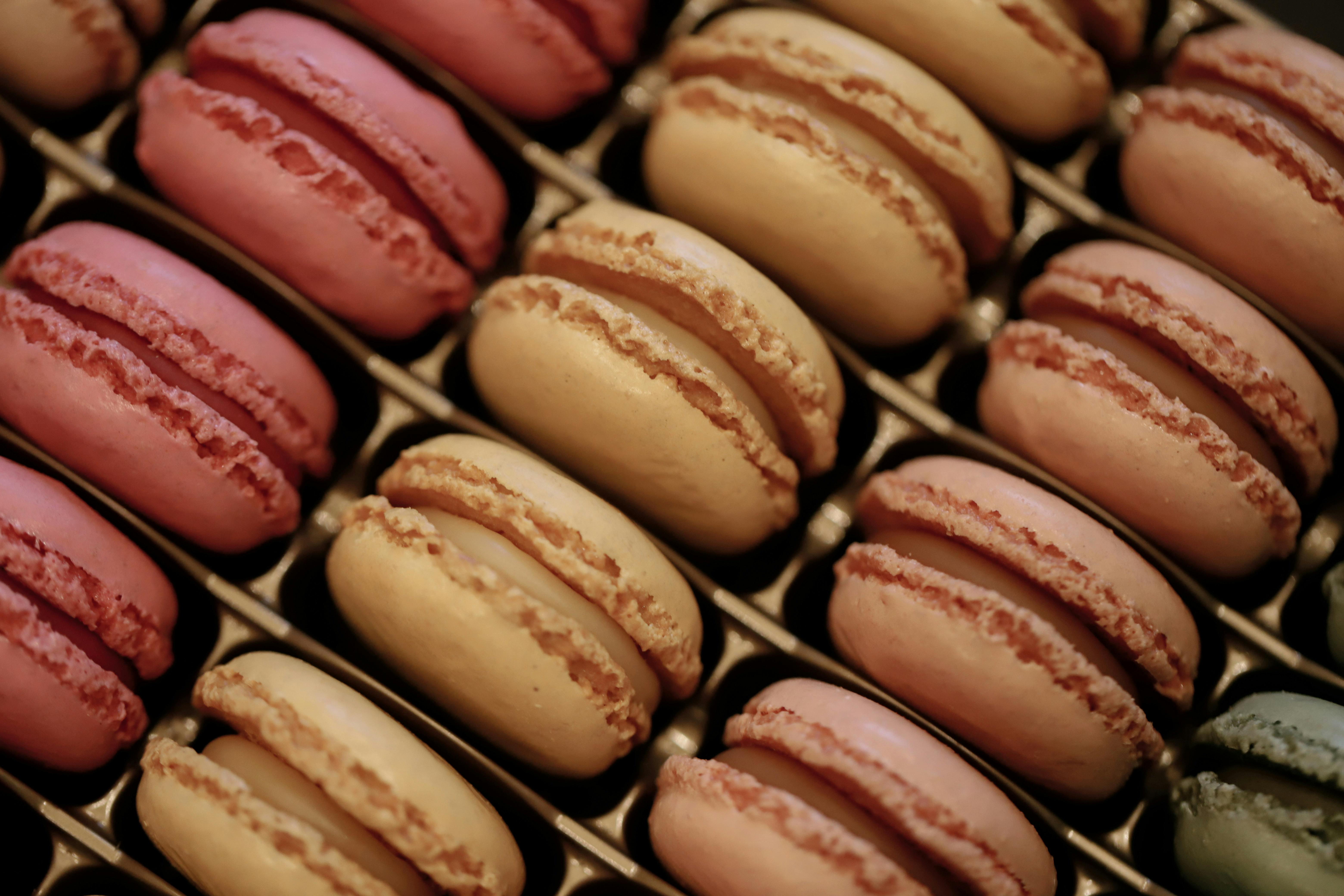 生活：Taste France主題館香港登場，品味法國美食與文化魅力