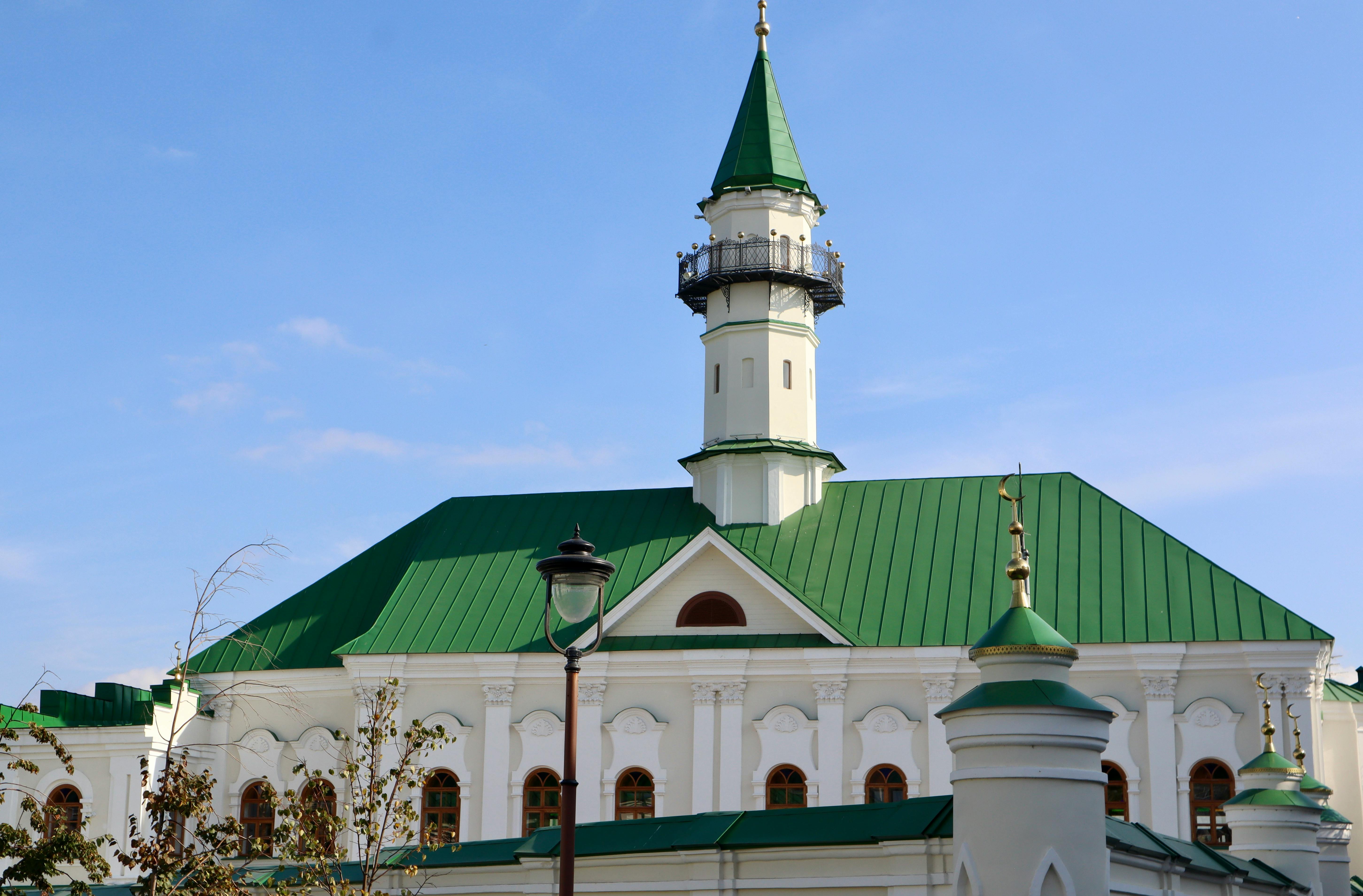 鄭麗文稱普丁非獨裁者 吳崢批評成國際笑話損台灣形象