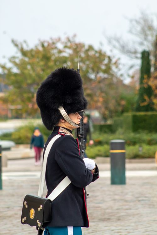 Free A Danish royal guard standing watch at Amalienborg Palace in Copenhagen, Denmark. Stock Photo