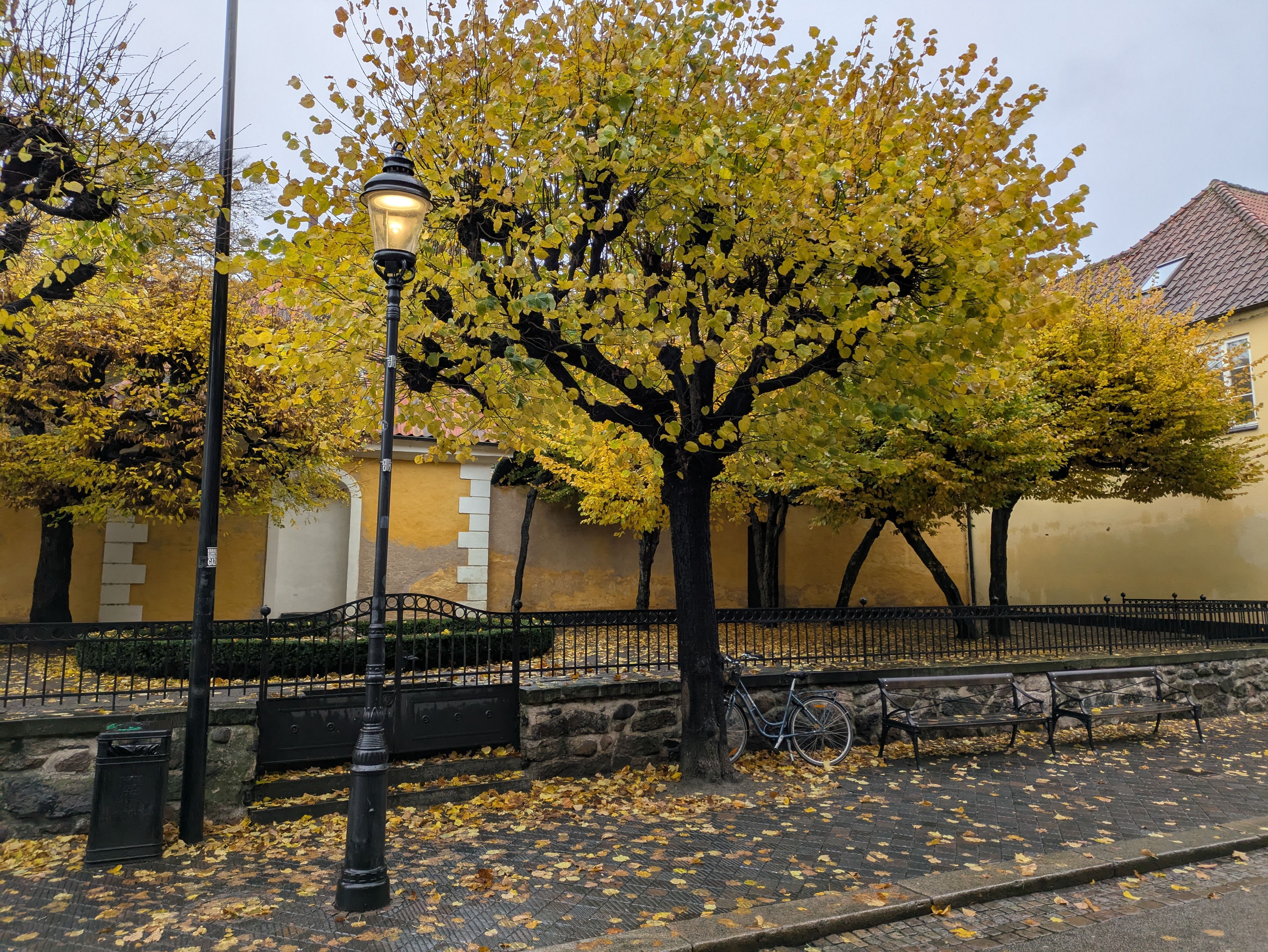 A European street lined with golden autumn trees and a vintage lamp
