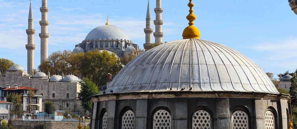 Cúpulas y minaretes de Estambul