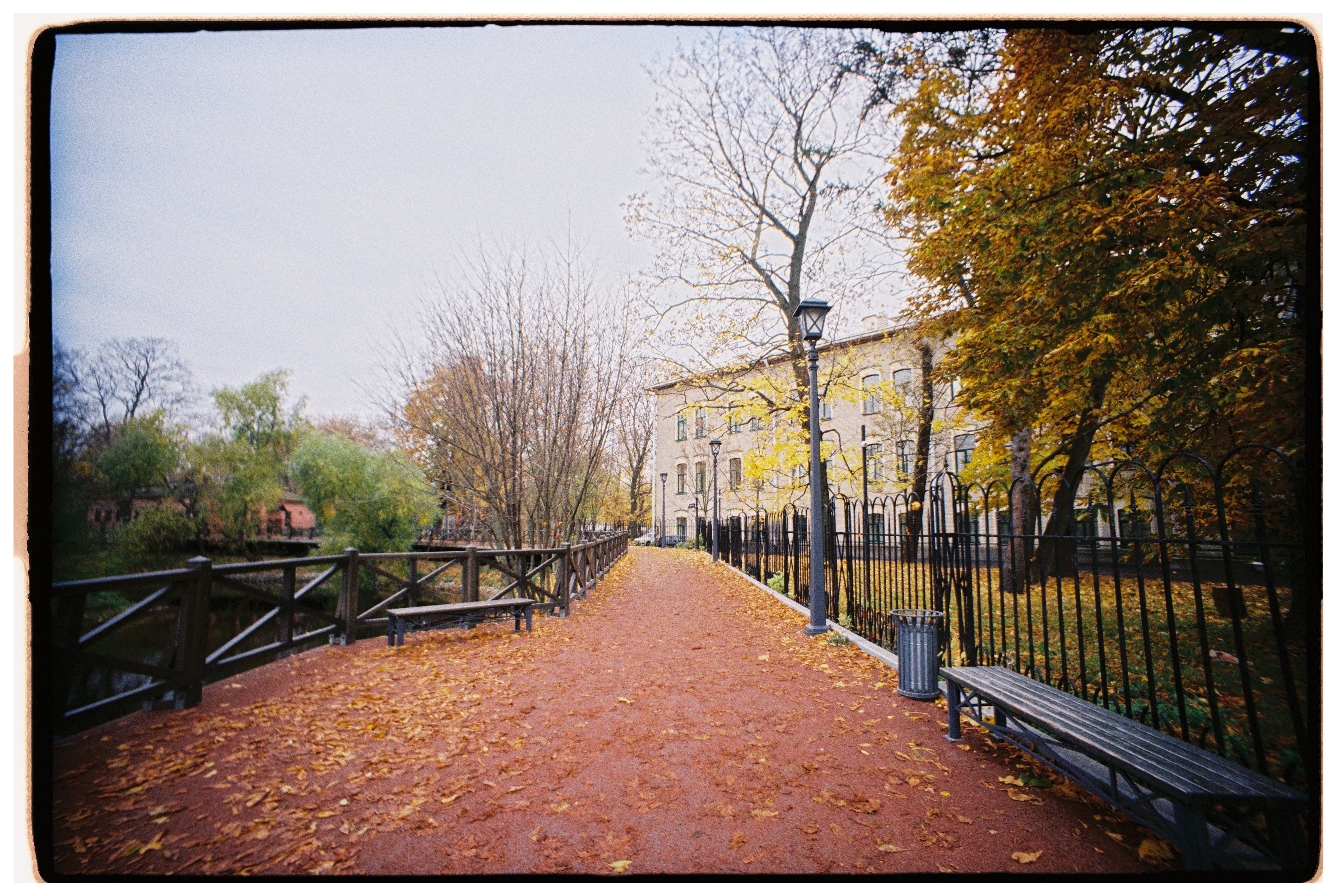 Picturesque Autumn Walkway with Rustic Charm · Free Stock Photo