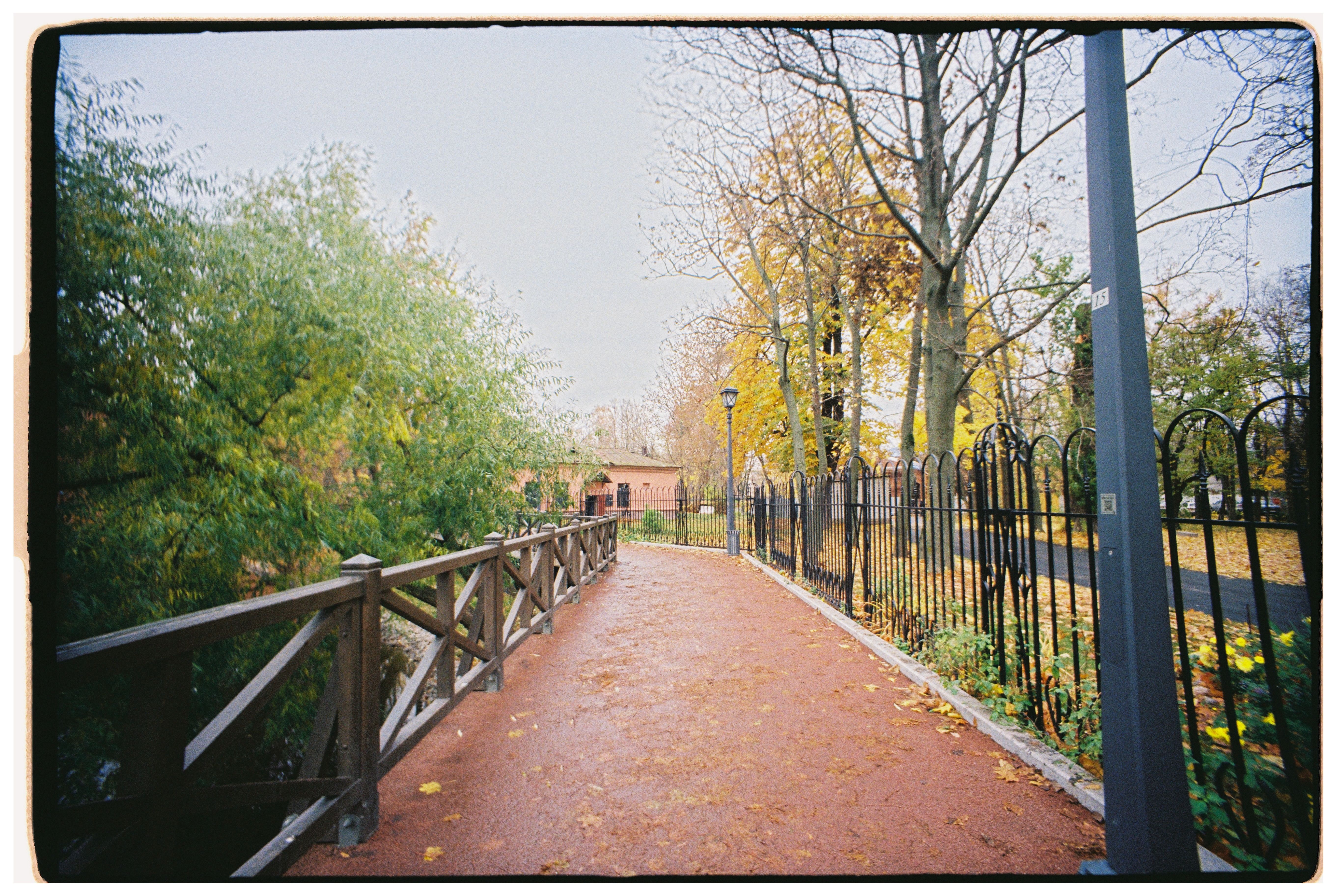 Scenic Pathway in Autumn Park with Foliage · Free Stock Photo