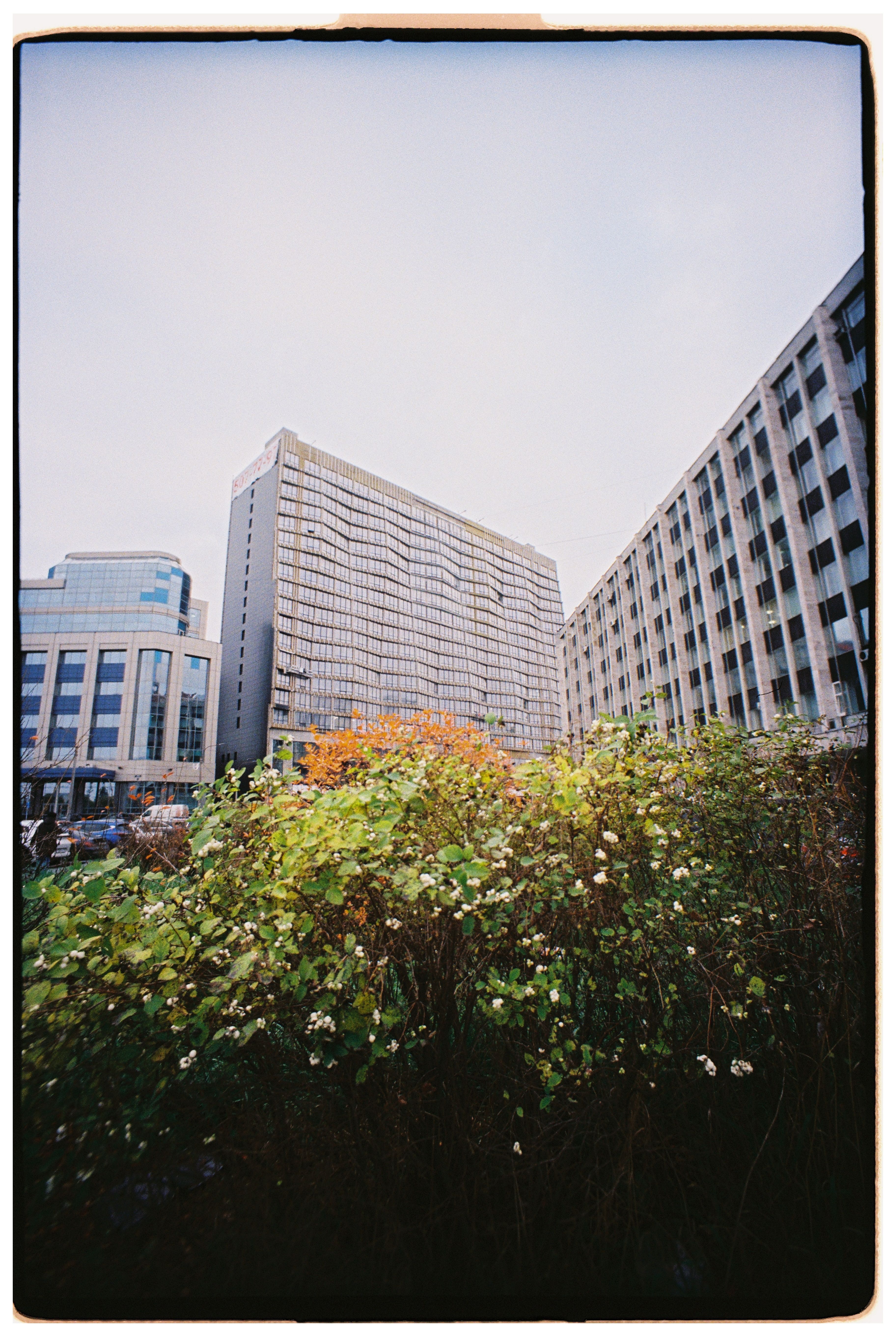 Urban Landscape with Modern Office Buildings · Free Stock Photo