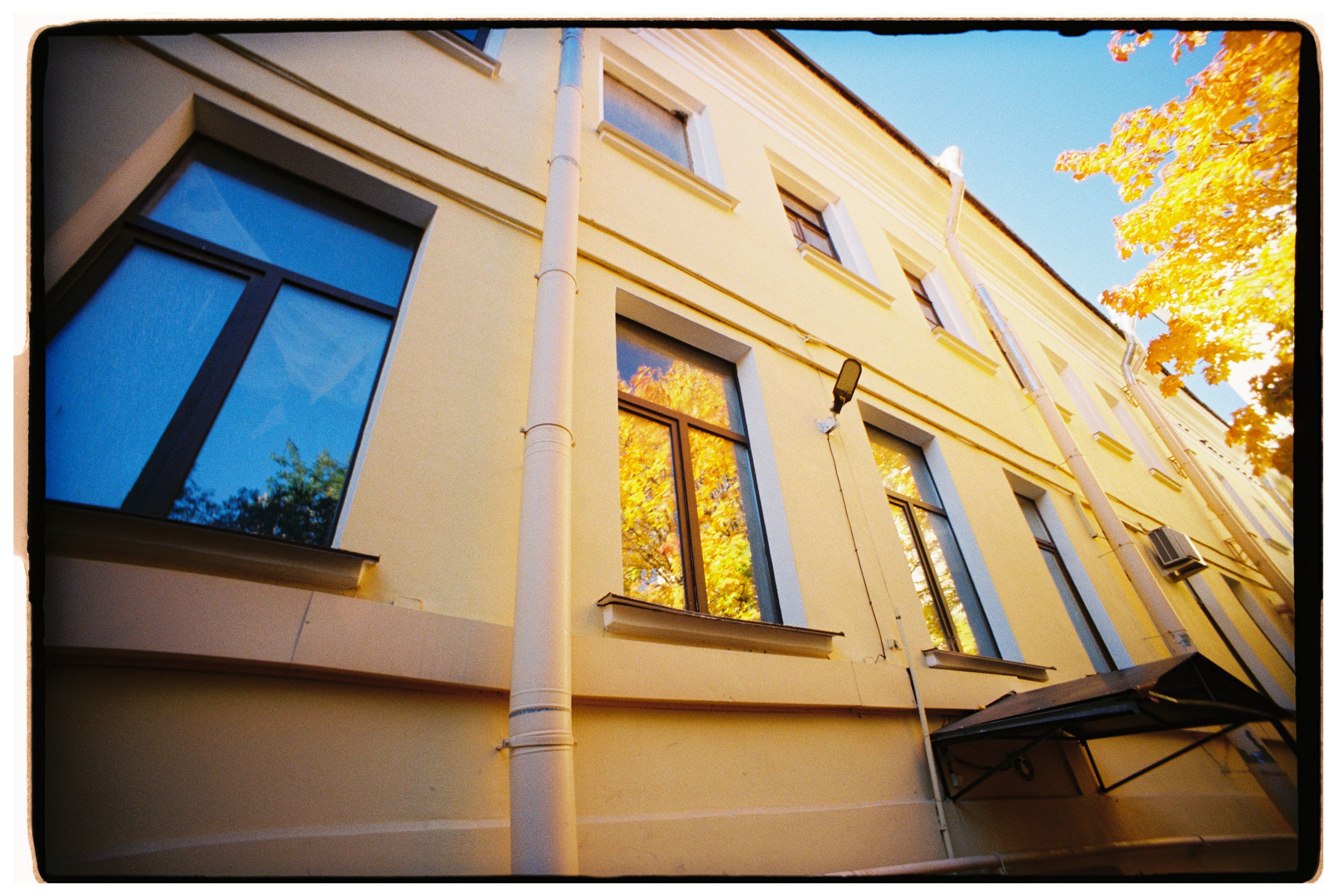Autumn Reflection on Modern Building Facade · Free Stock Photo