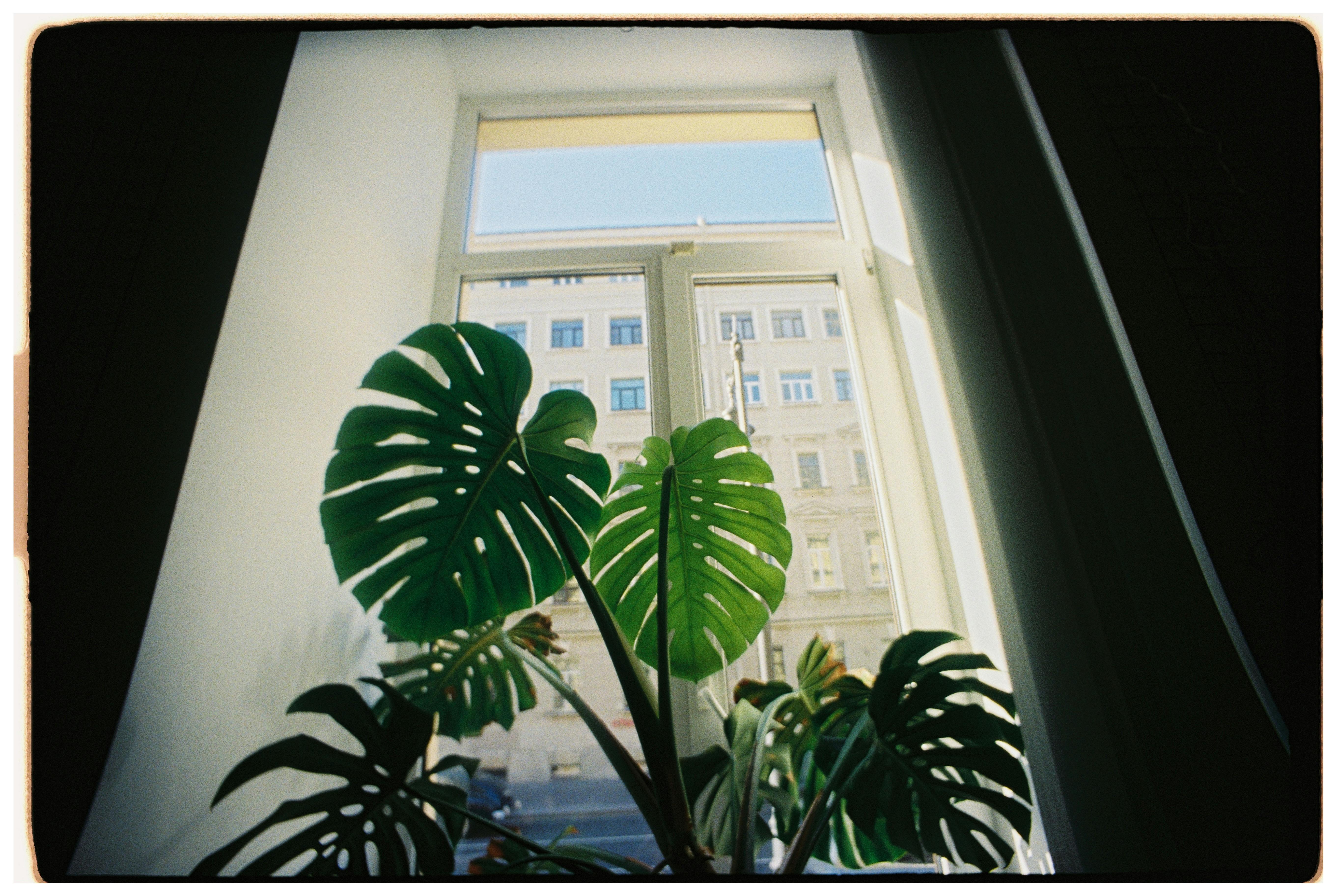 city apartment home office candid lifestyle lifestyle photo 2