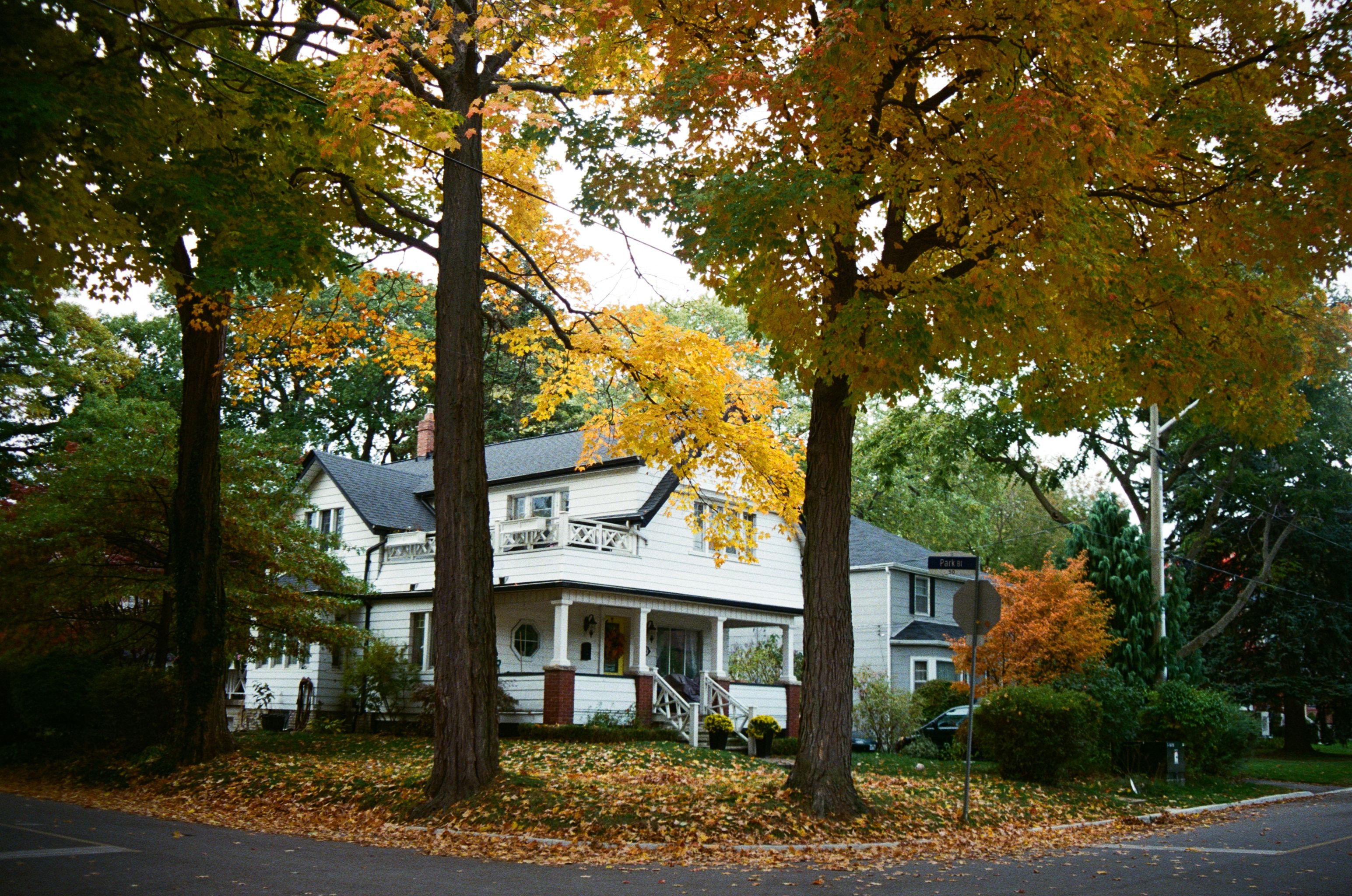 Beautiful white house amidst vibrant fall foliage in a serene neighborhood setting.