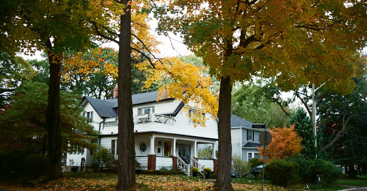 Beautiful white house amidst vibrant fall foliage in a serene neighborhood setting.