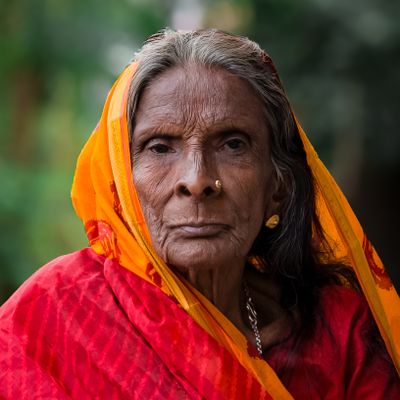 Nalini Malnikar