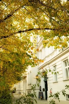 Discover a quaint boutique hotel enveloped in vibrant autumn leaves, capturing the warmth of fall.