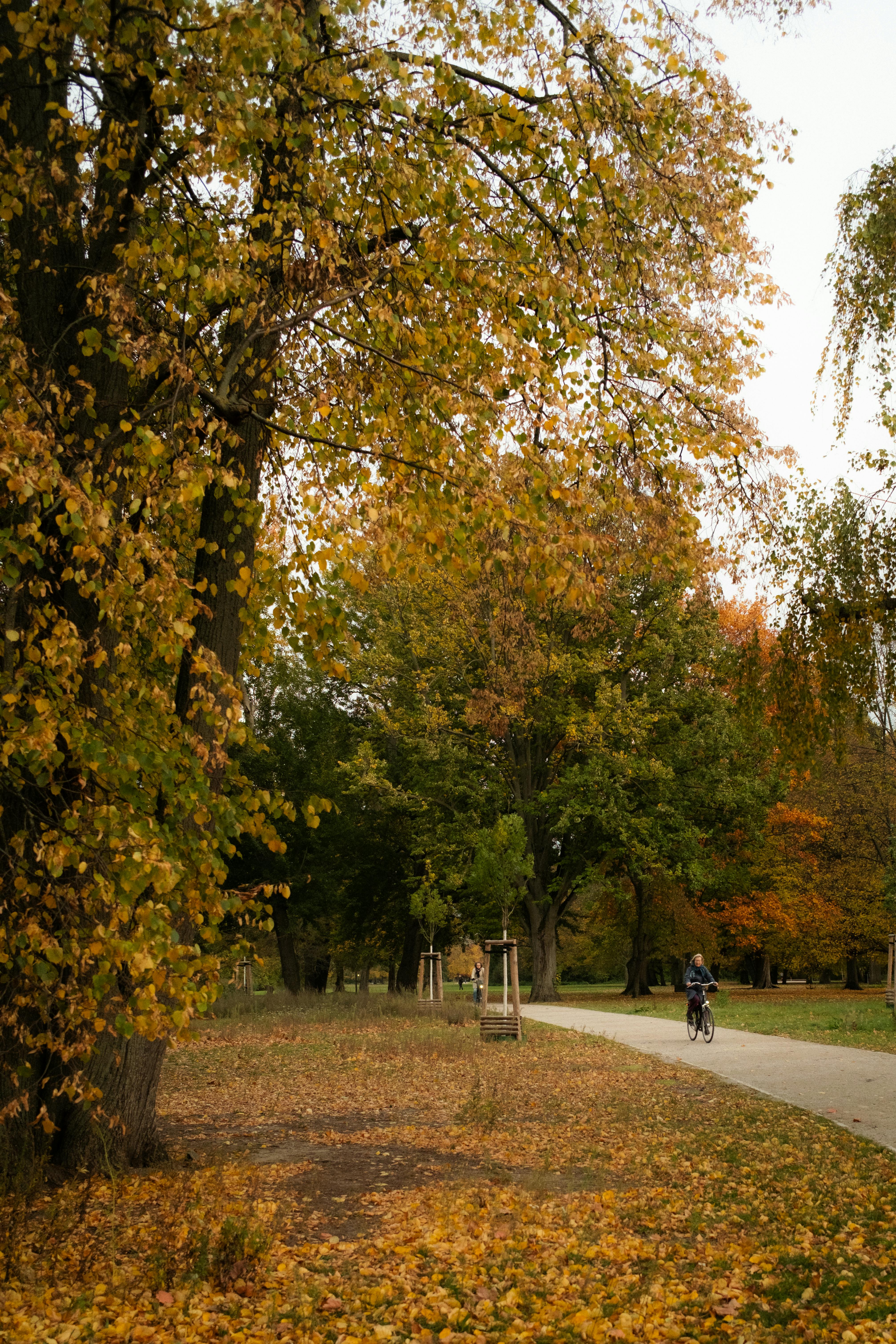 Cyclist enjoying a scenic autumn ride through a Berlin park with vibrant foliage.
